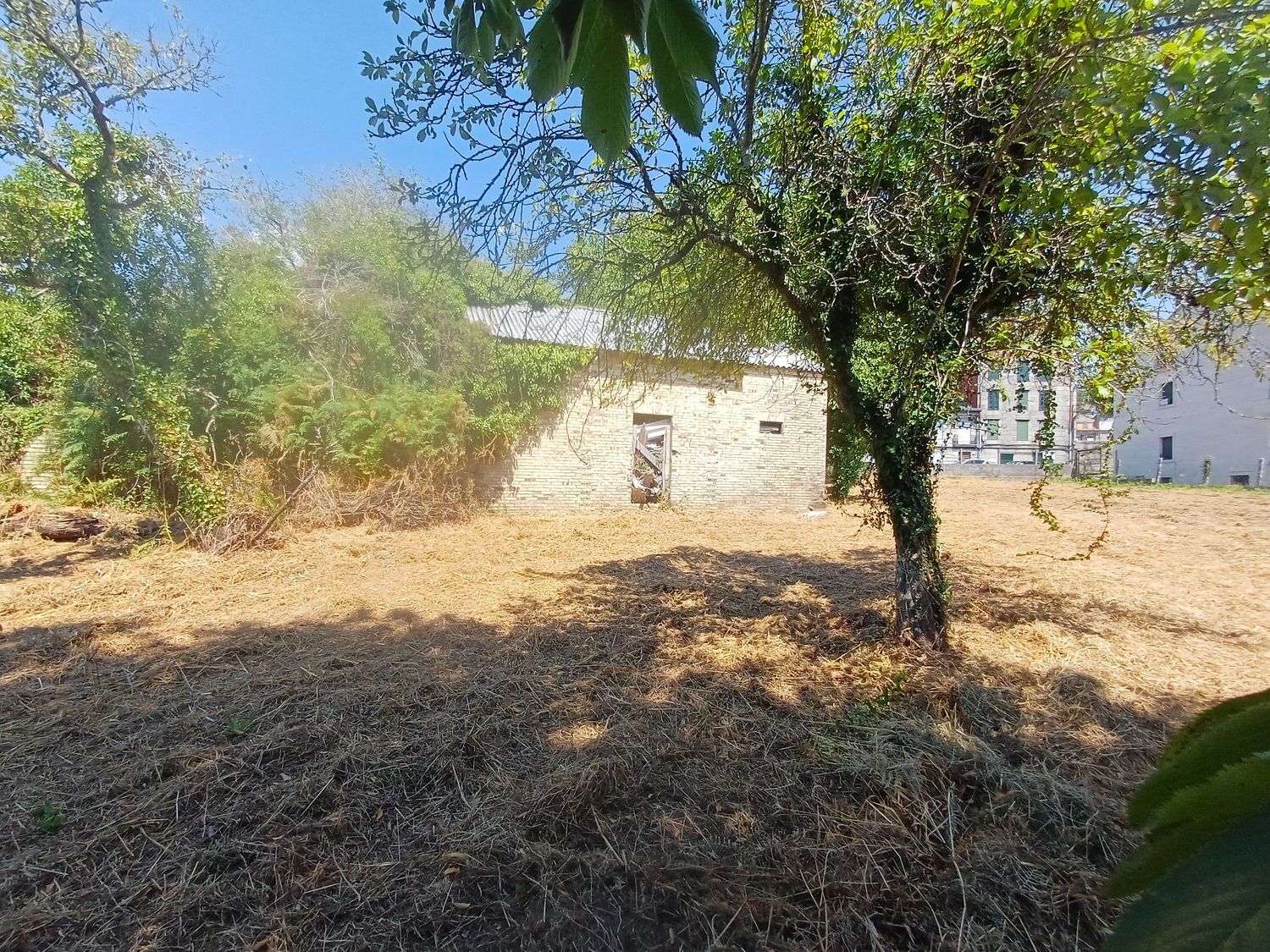 Fincas y solares-Venta-A CaÃ±iza-1834413-Foto-21