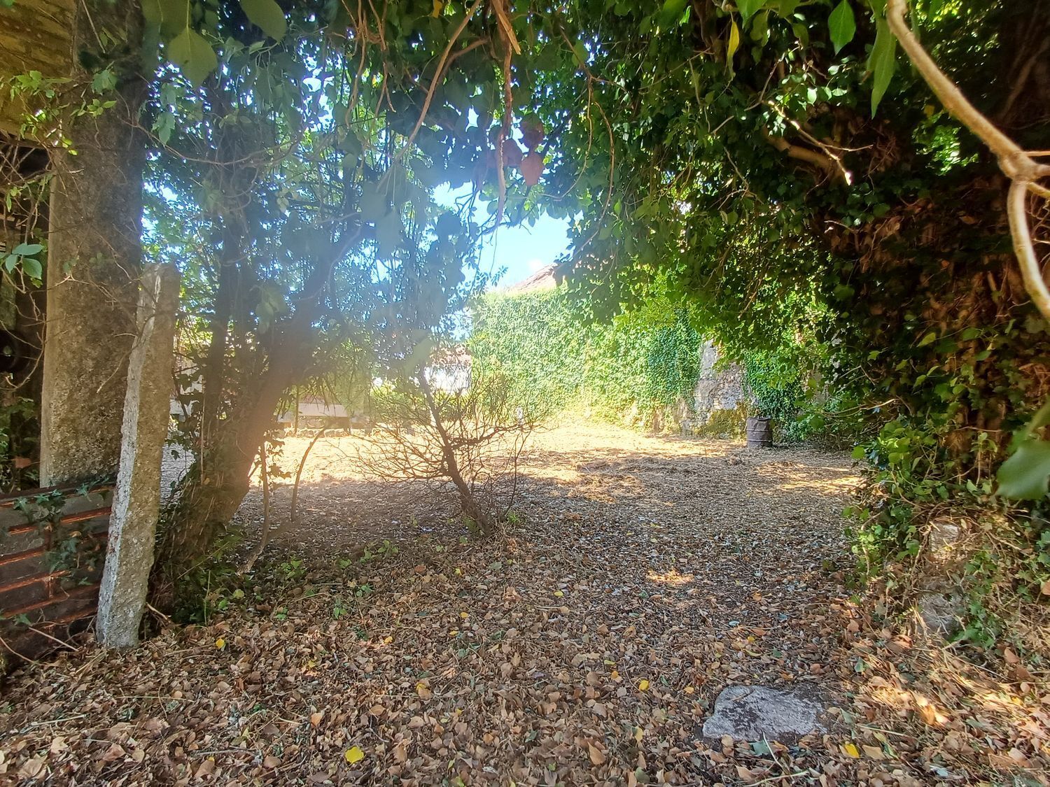 Fincas y solares-Venta-A CaÃ±iza-1834413-Foto-24