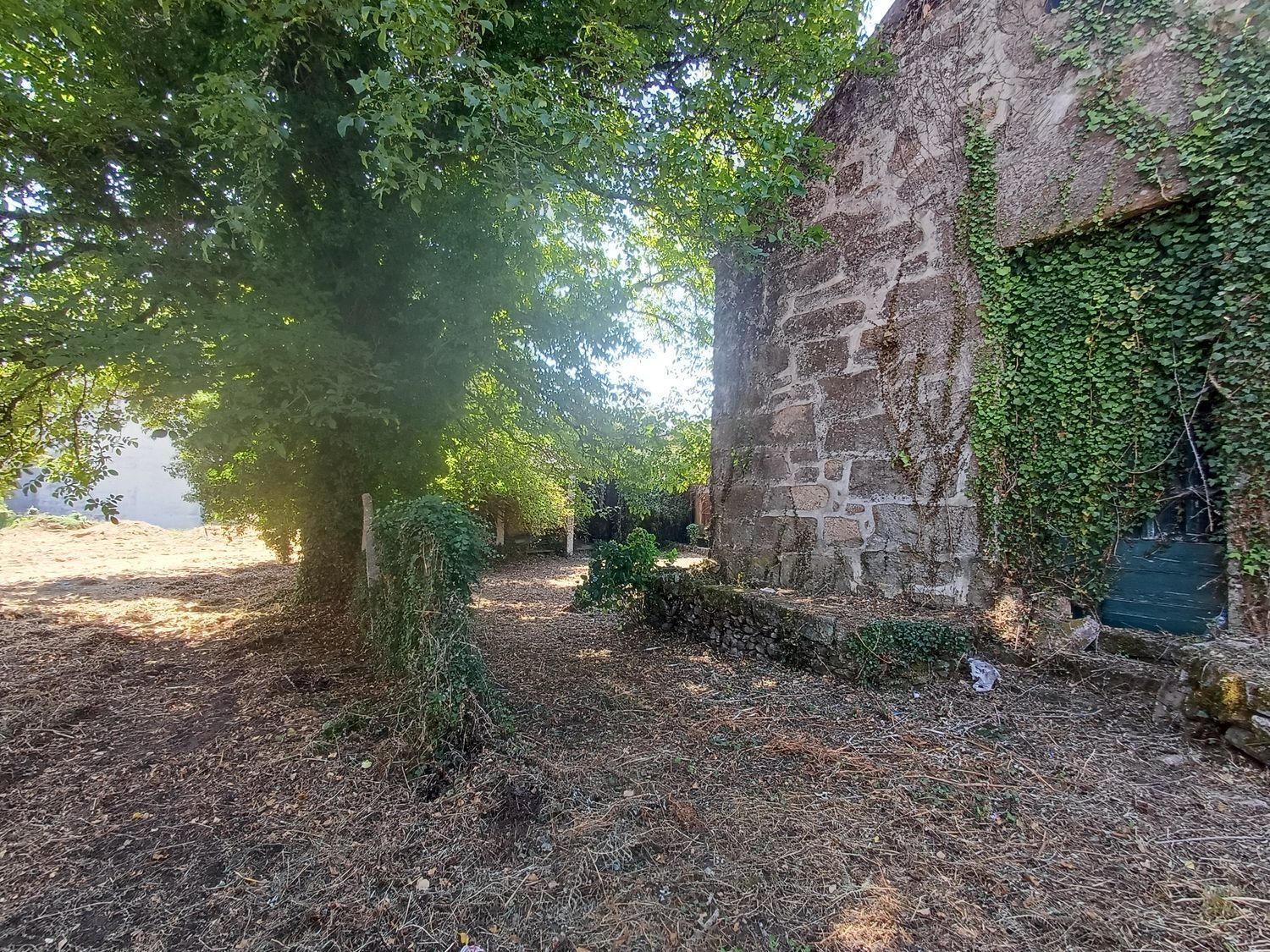 Fincas y solares-Venta-A CaÃ±iza-1834413-Foto-26