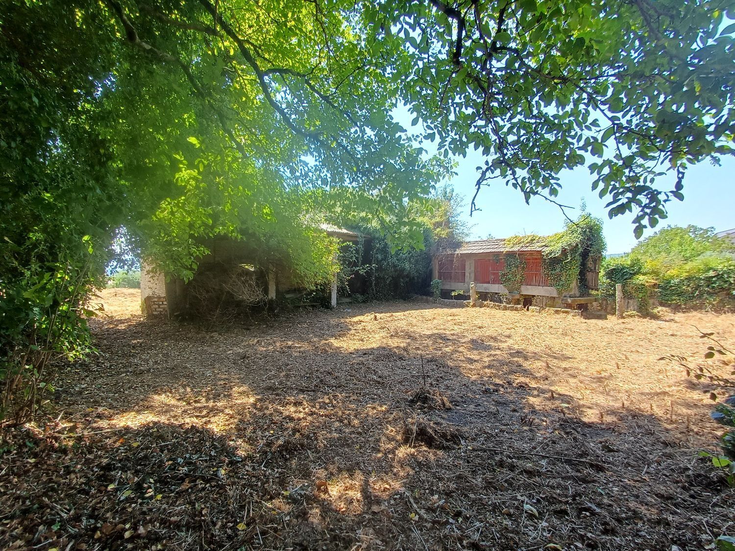 Fincas y solares-Venta-A CaÃ±iza-1834413-Foto-27
