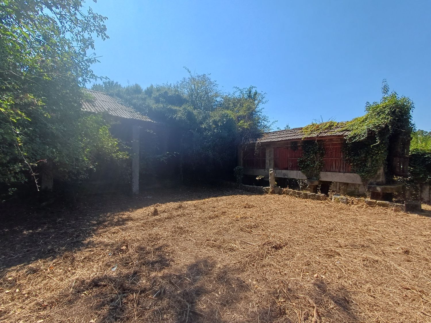 Fincas y solares-Venta-A CaÃ±iza-1834413-Foto-28