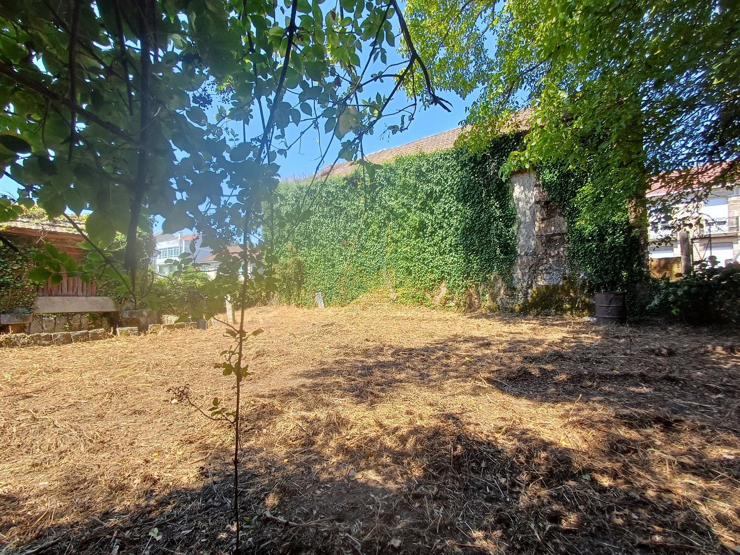 Fincas y solares-Venta-A CaÃ±iza-1834413-Foto-31