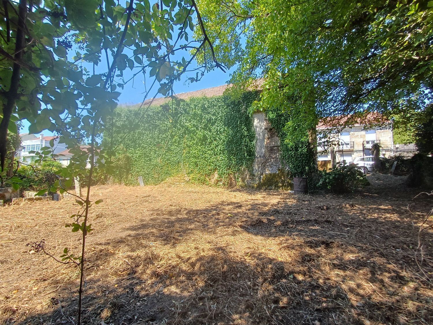 Fincas y solares-Venta-A CaÃ±iza-1834413-Foto-32