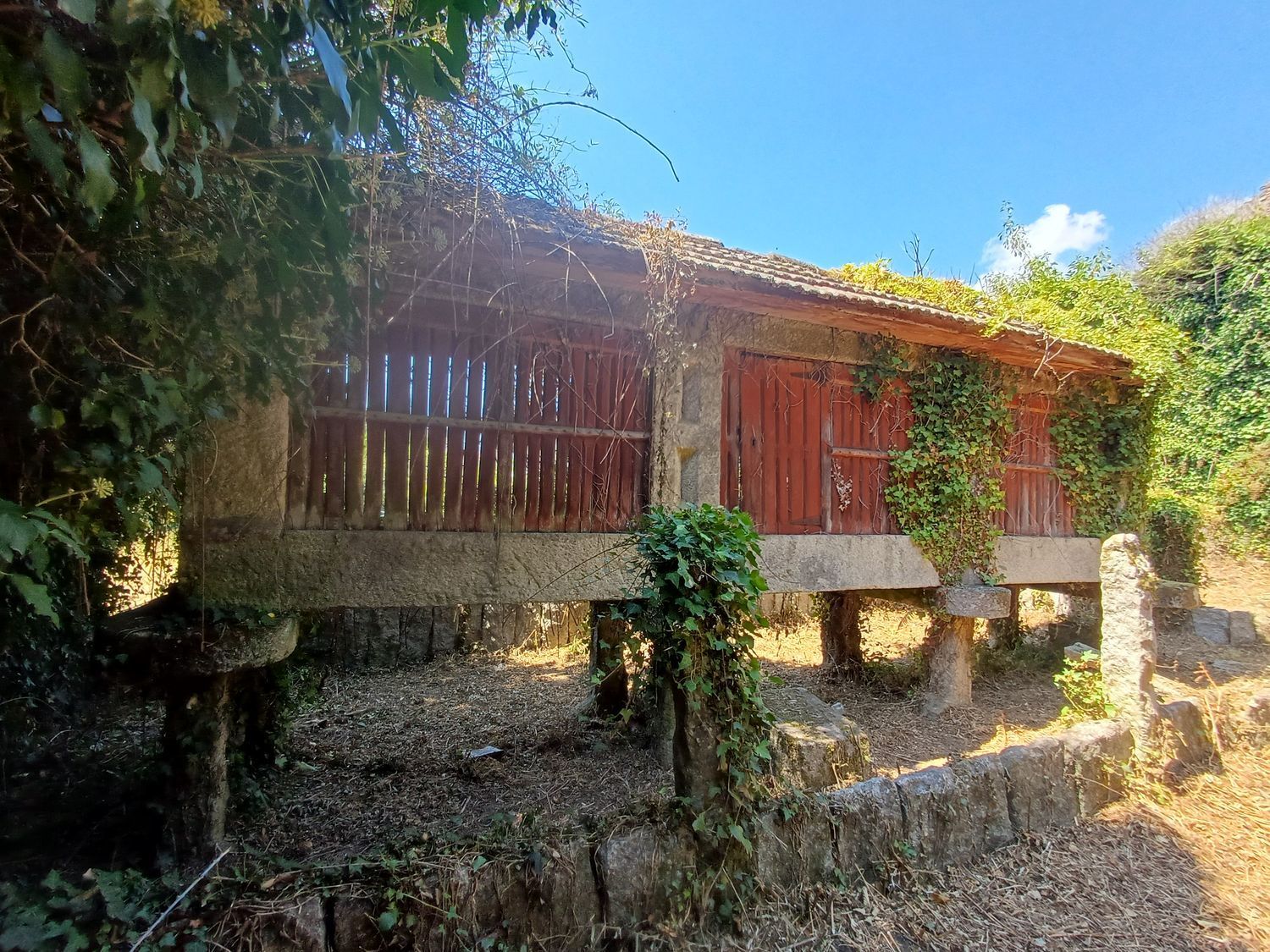 Fincas y solares-Venta-A CaÃ±iza-1834413-Foto-36
