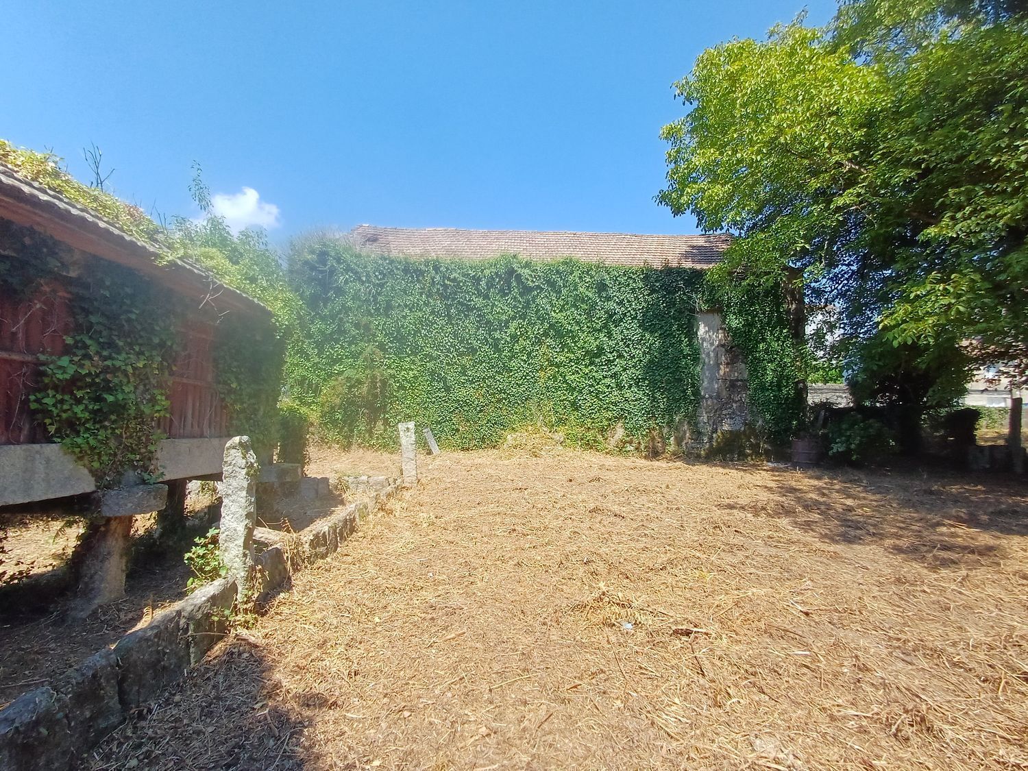 Fincas y solares-Venta-A CaÃ±iza-1834413-Foto-37