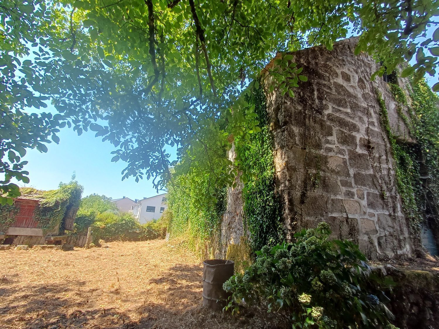 Fincas y solares-Venta-A CaÃ±iza-1834413-Foto-38
