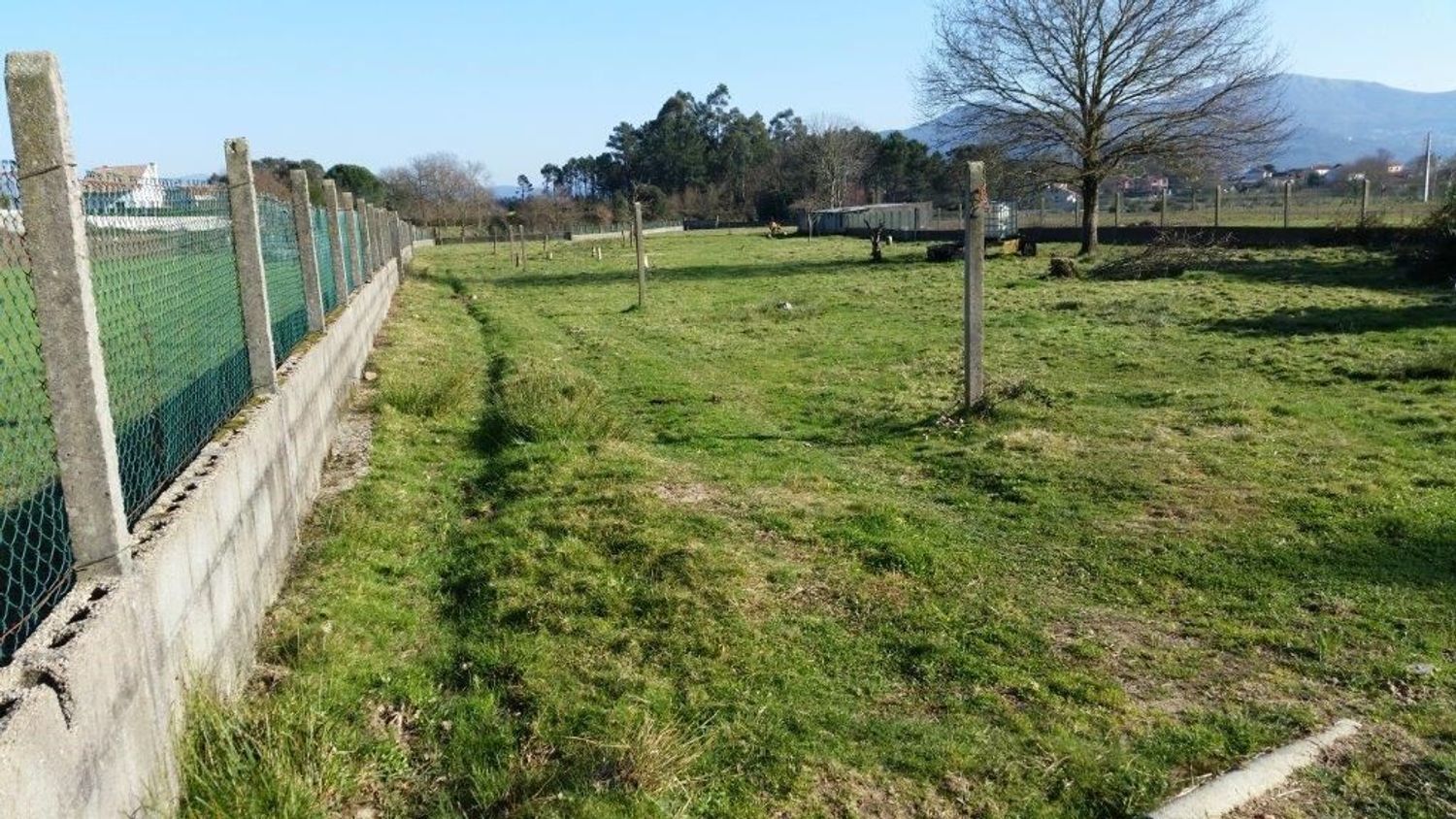 Fincas y solares-Alquiler-TomiÃ±o-1834798-Foto-3