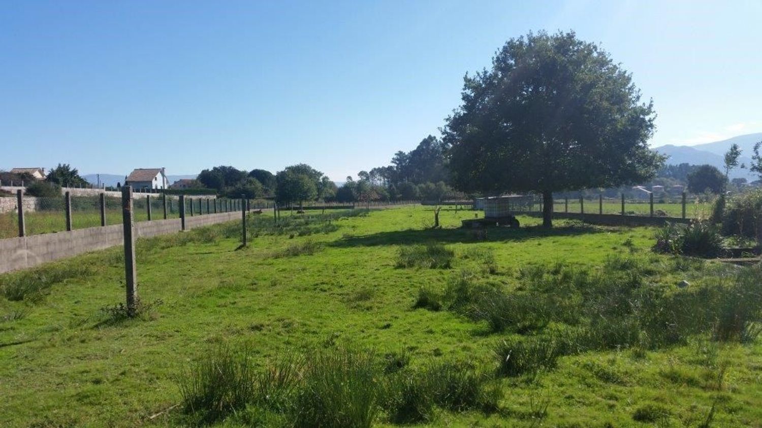 Fincas y solares-Alquiler-TomiÃ±o-1834798-Foto-6