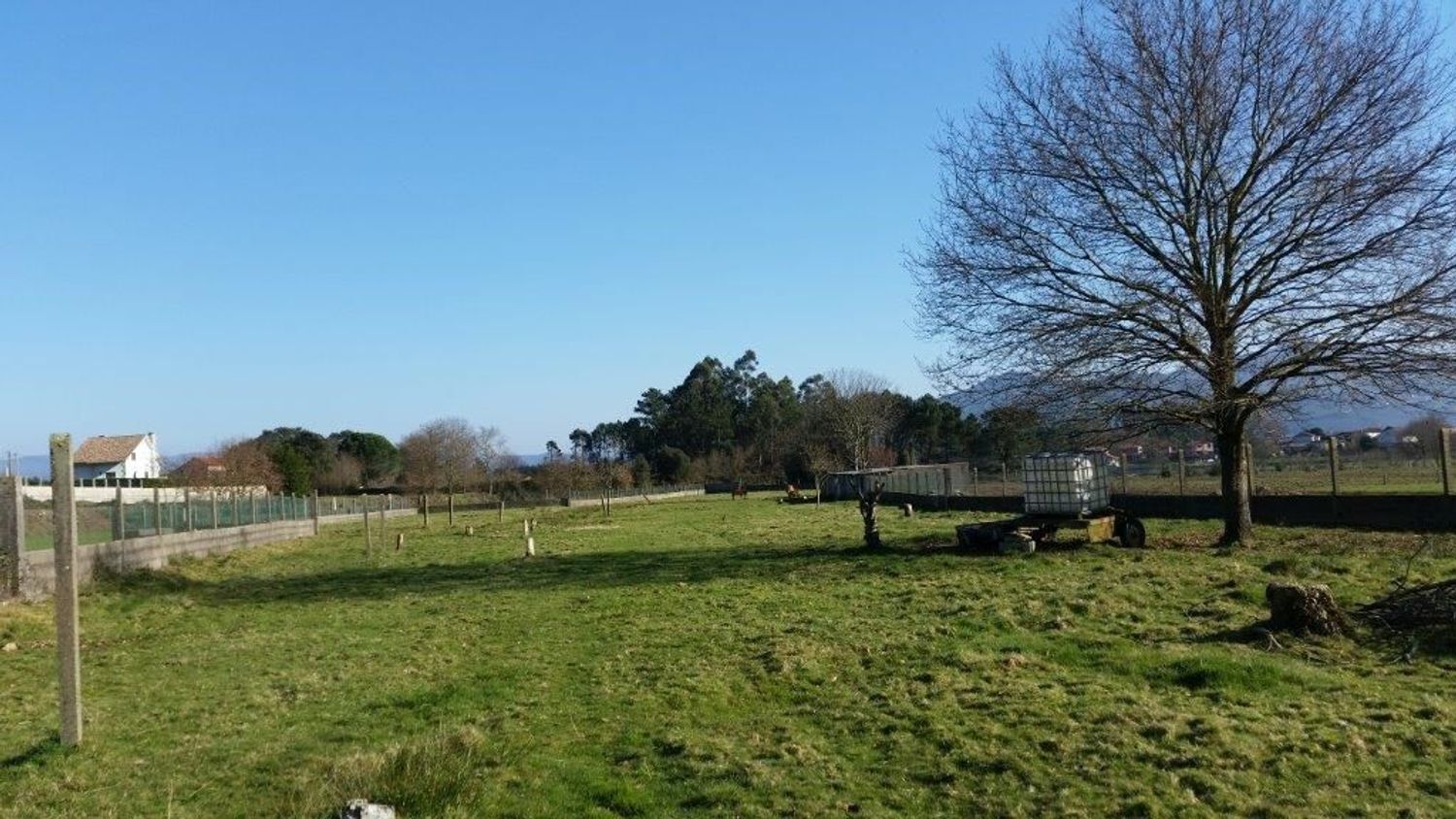 Fincas y solares-Alquiler-TomiÃ±o-1834798-Foto-7