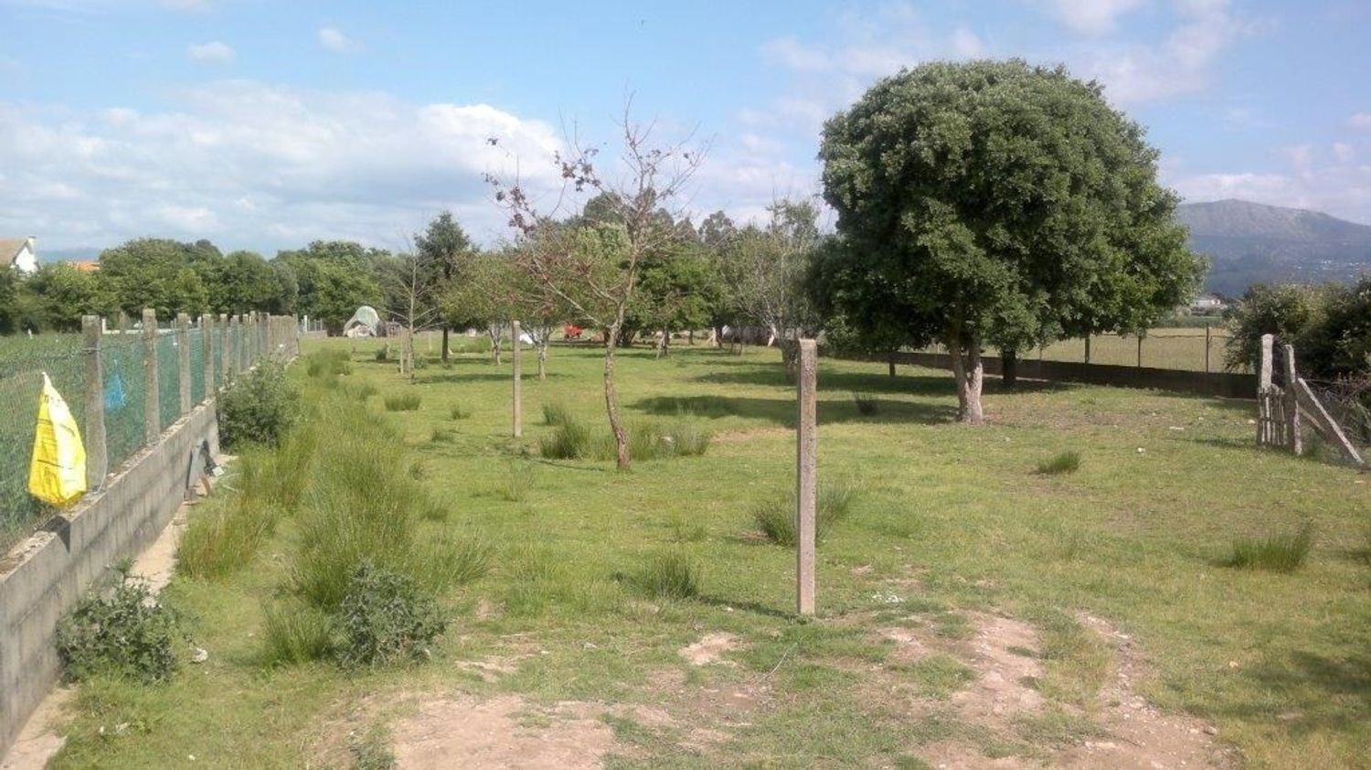 Fincas y solares-Alquiler-TomiÃ±o-1834798-Foto-8