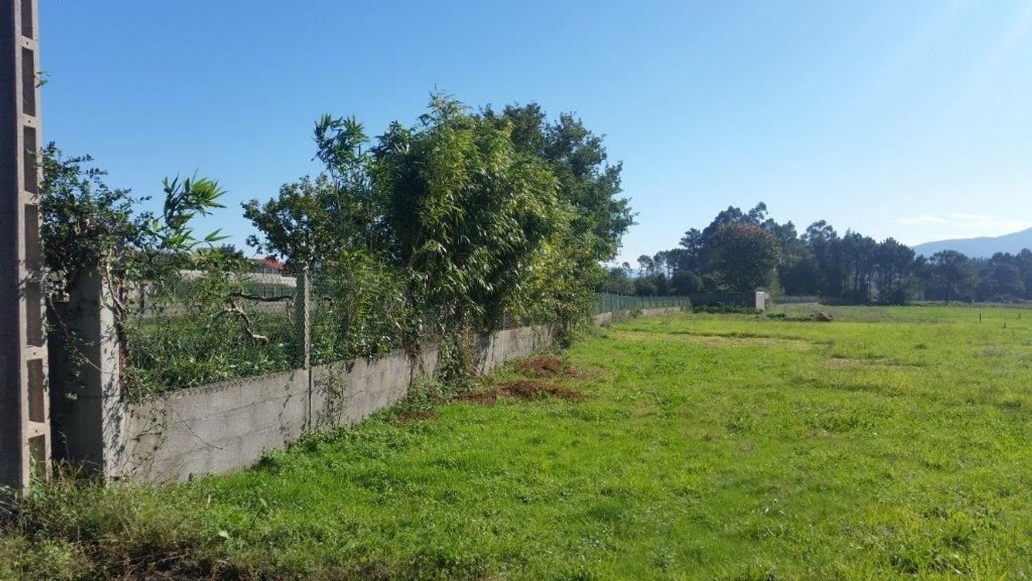 Fincas y solares-Alquiler-TomiÃ±o-1834798-Foto-9