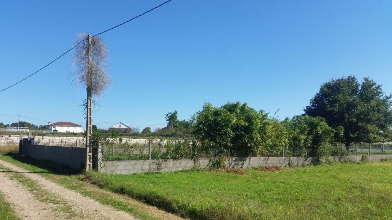 Fincas y solares-Alquiler-TomiÃ±o-1834798-Foto-10