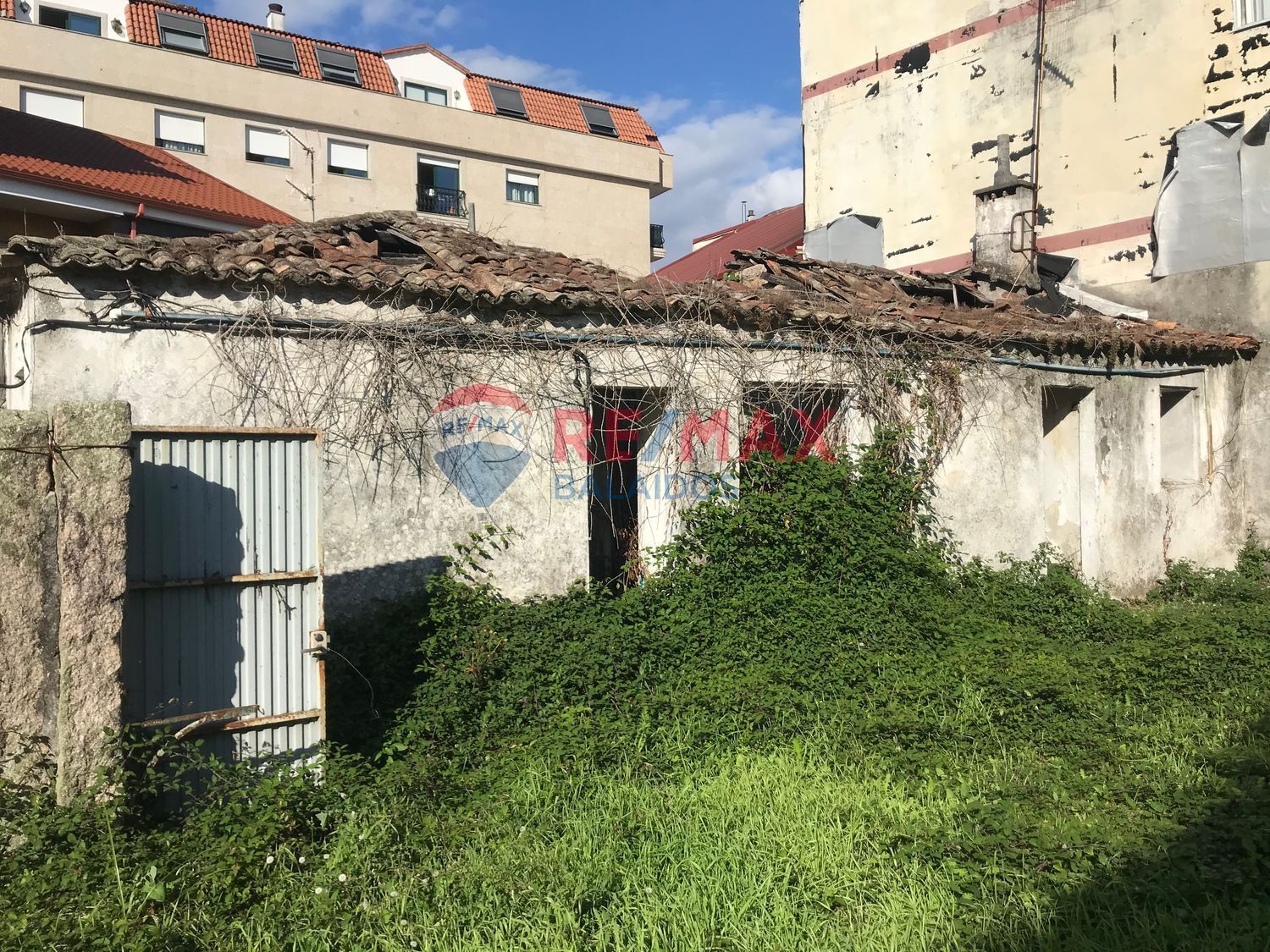 Fincas y solares-Venta-O PorriÃ±o-491987-Foto-3