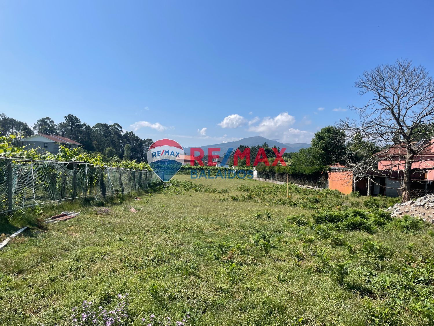 Casas o chalets-Venta-TomiÃ±o-898667-Foto-31