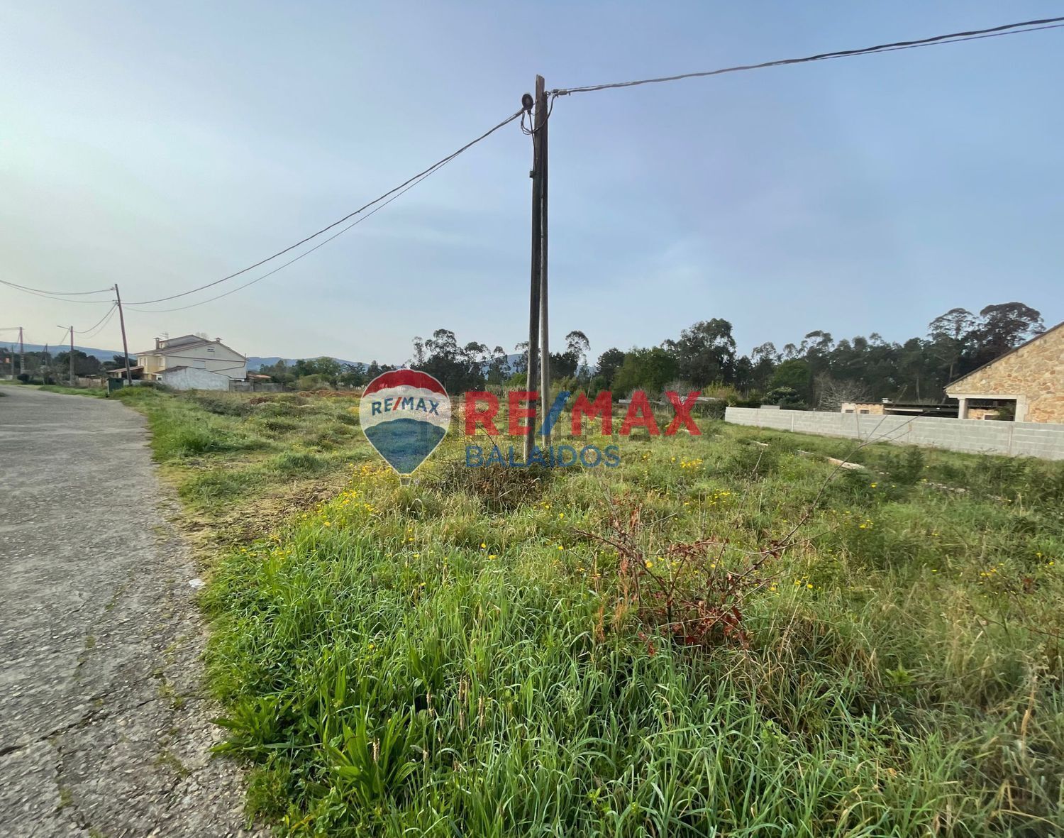 Fincas y solares-Venta-TomiÃ±o-898668-Foto-7
