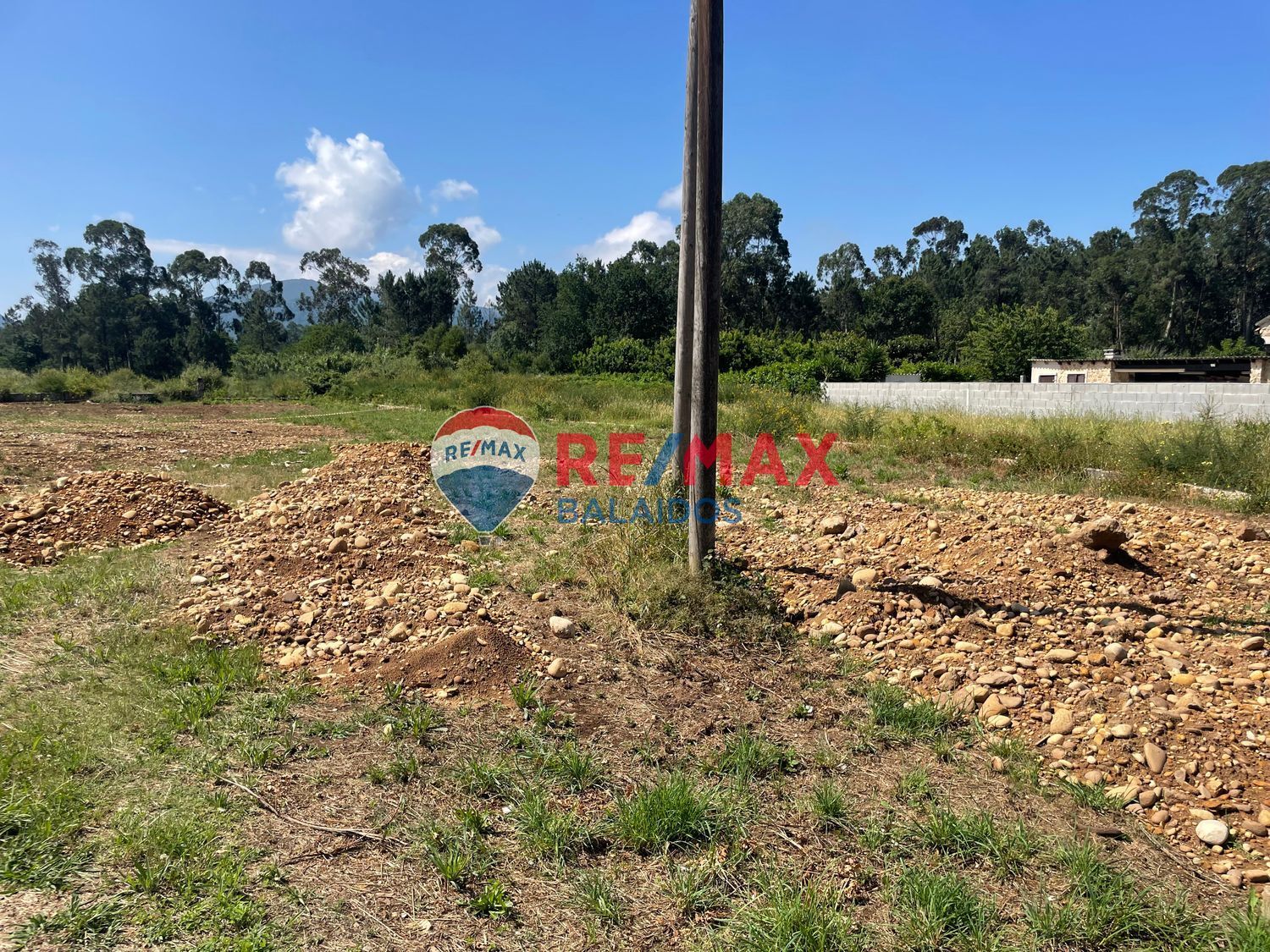 Fincas y solares-Venta-TomiÃ±o-898668-Foto-13