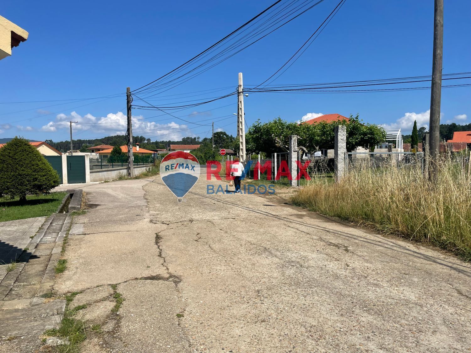 Fincas y solares-Venta-TomiÃ±o-898668-Foto-17