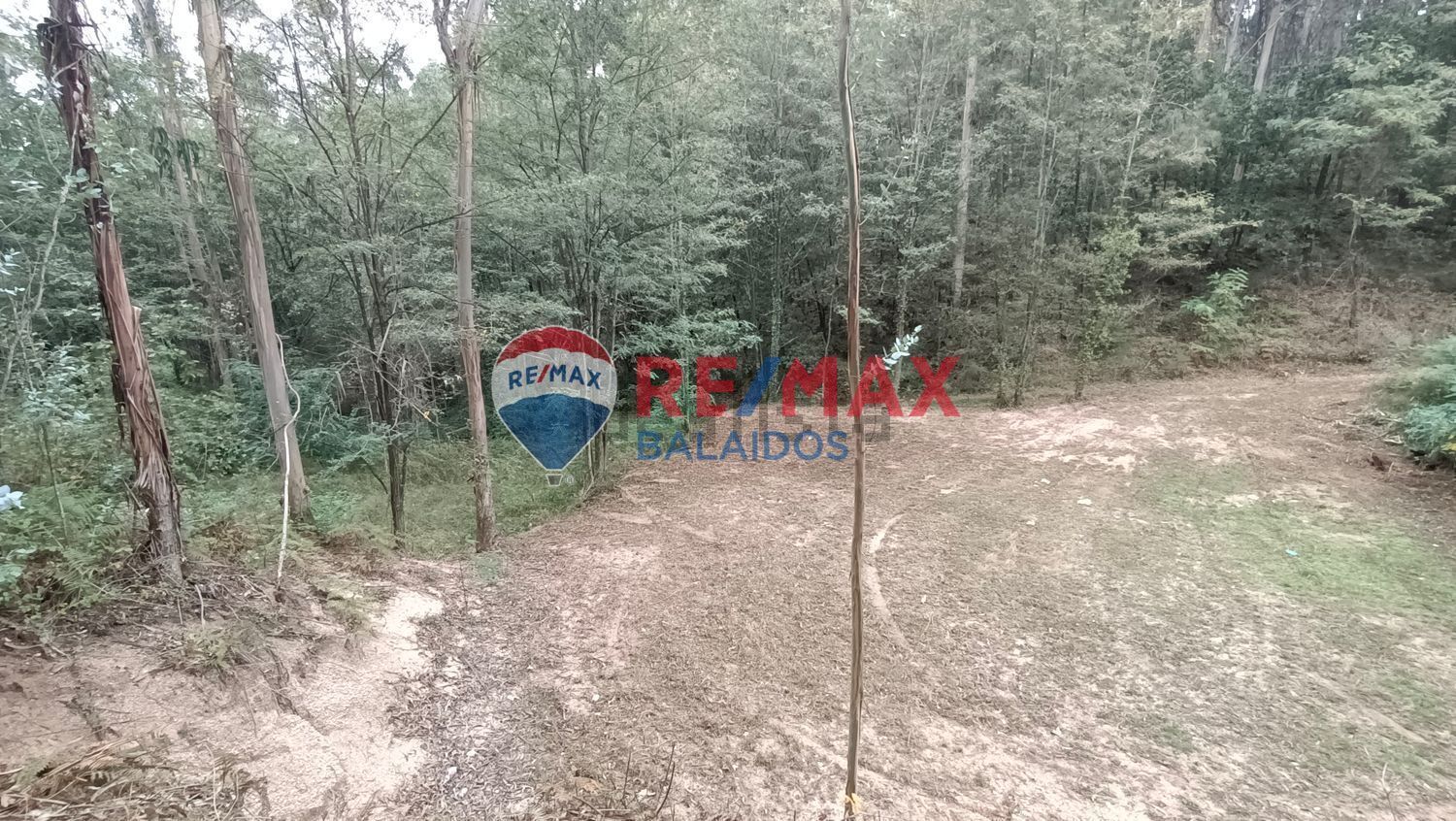 Fincas y solares-Venta-O PorriÃ±o-994927-Foto-2