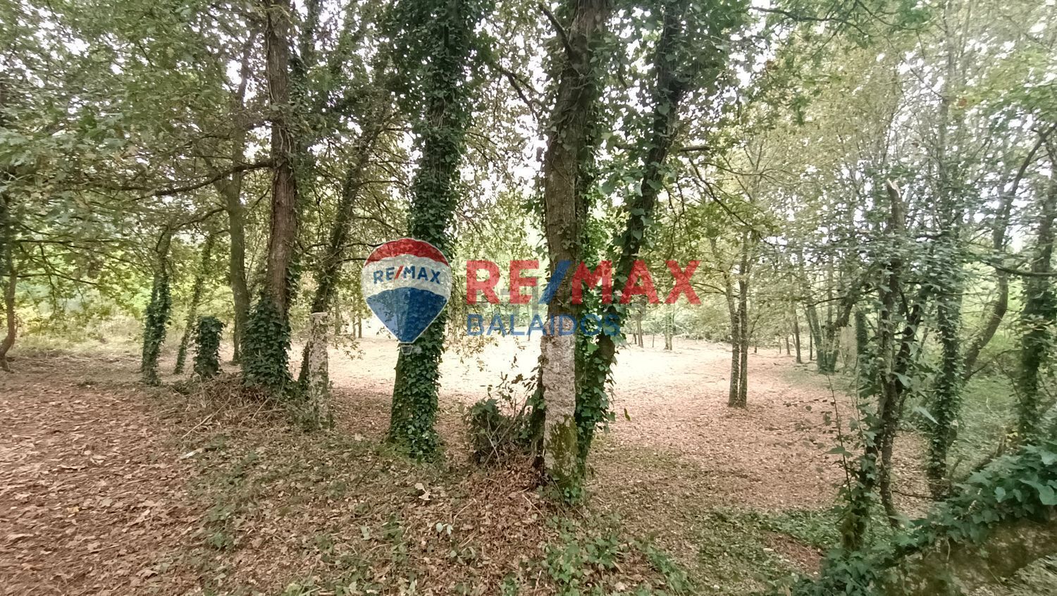 Fincas y solares-Venta-O PorriÃ±o-994926-Foto-3