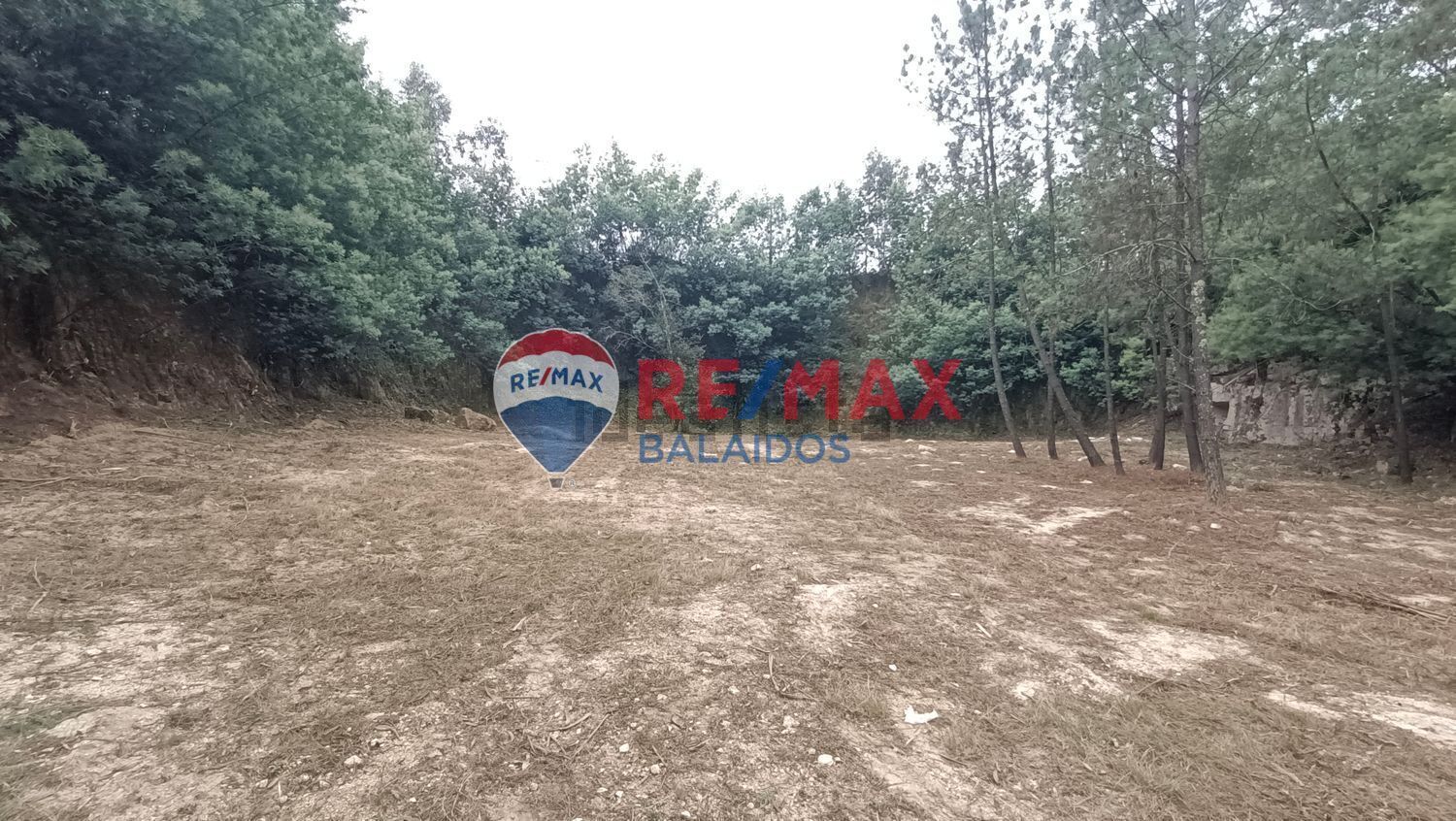 Fincas y solares-Venta-O PorriÃ±o-994925-Foto-7