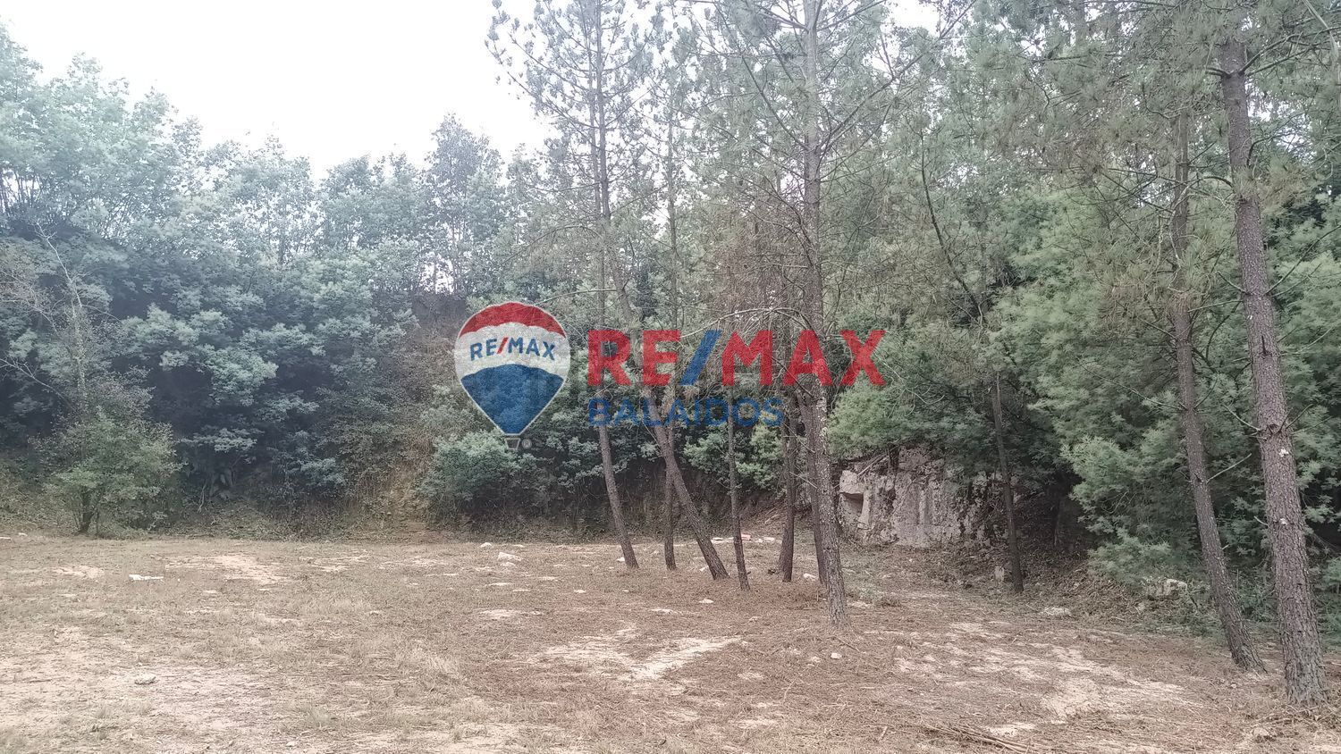 Fincas y solares-Venta-O PorriÃ±o-994925-Foto-10