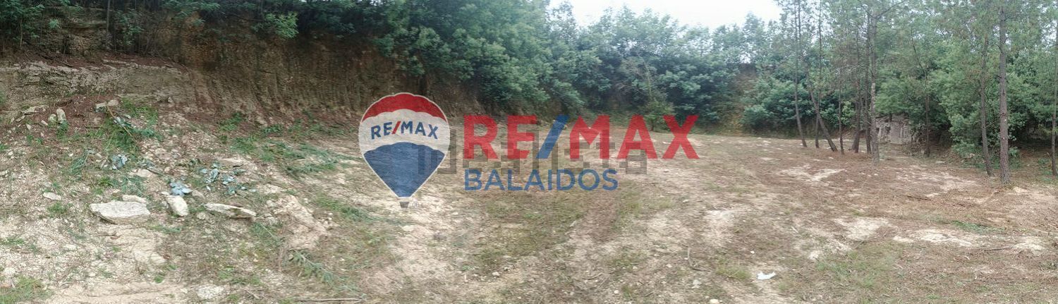 Fincas y solares-Venta-O PorriÃ±o-994925-Foto-21