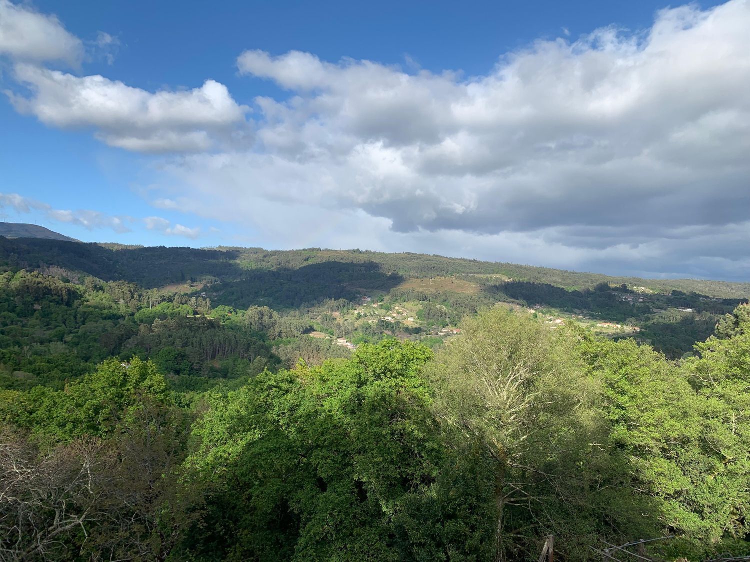 Casas o chalets-Venta-A CaÃ±iza-1684759-Foto-26