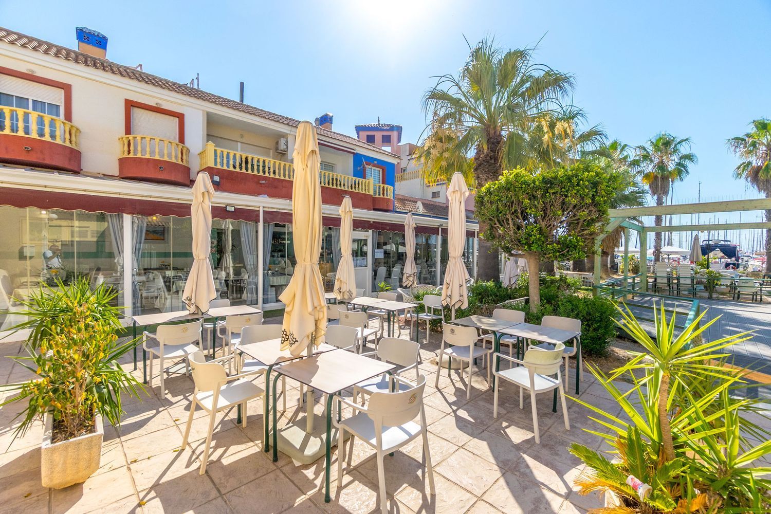 Negocios-Alquiler-Torrevieja-1764770-Foto-19