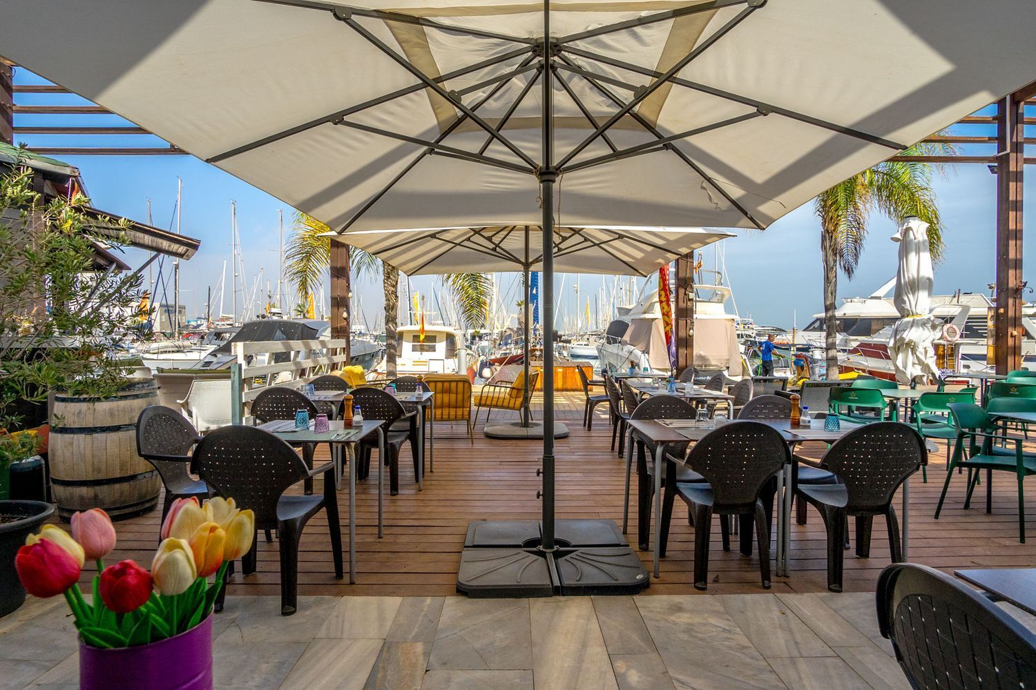 Negocios-Alquiler-San Pedro del Pinatar-1454832-Foto-11