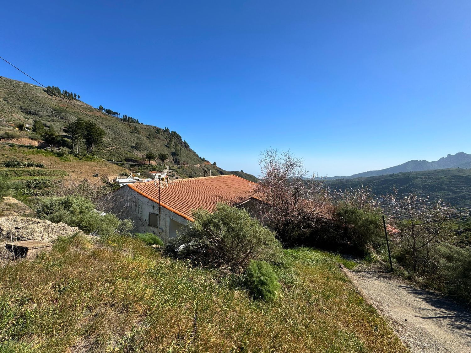 Casas o chalets-Venta-Vega de San Mateo-1048835-Foto-2