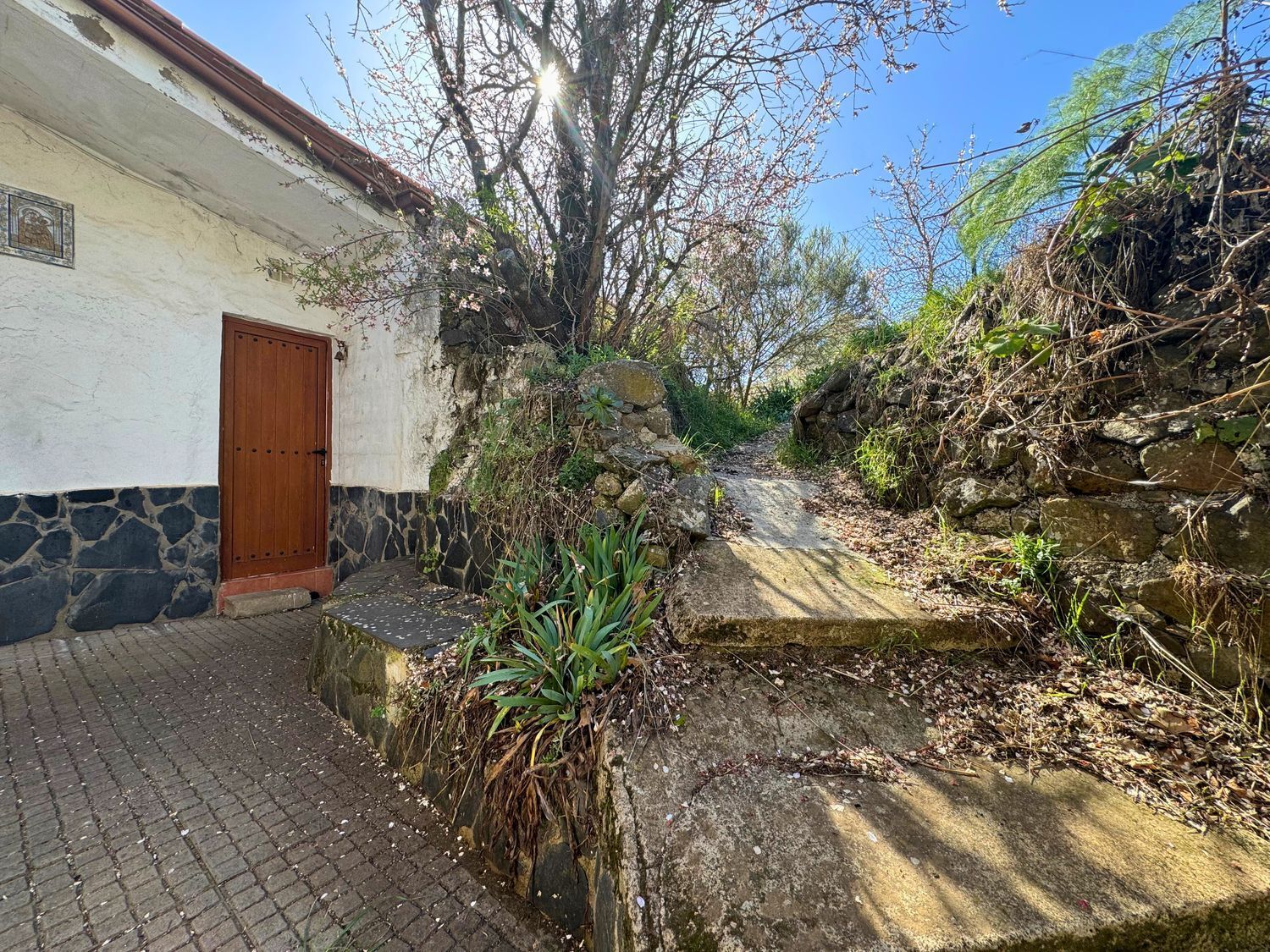 Casas o chalets-Venta-Vega de San Mateo-1048835-Foto-6