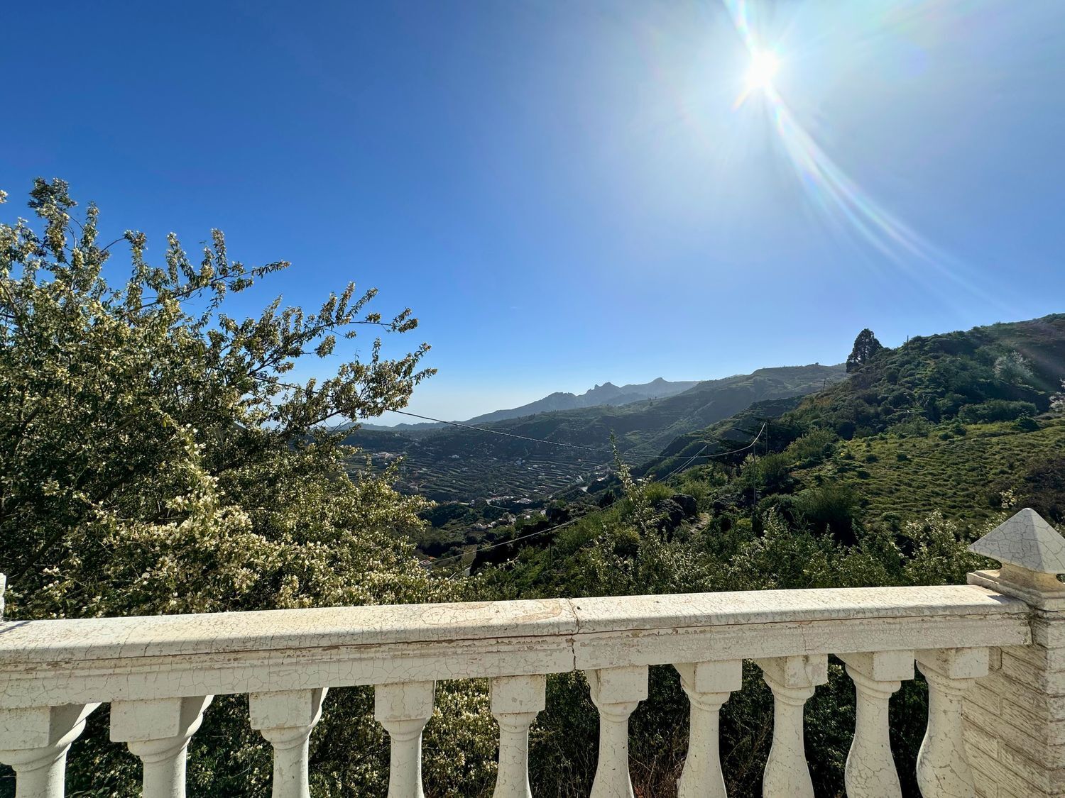 Casas o chalets-Venta-Vega de San Mateo-1048835-Foto-7