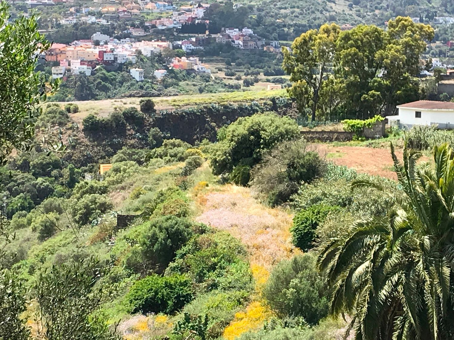 Fincas y solares-Venta-Santa BrÃ­gida-440071-Foto-2