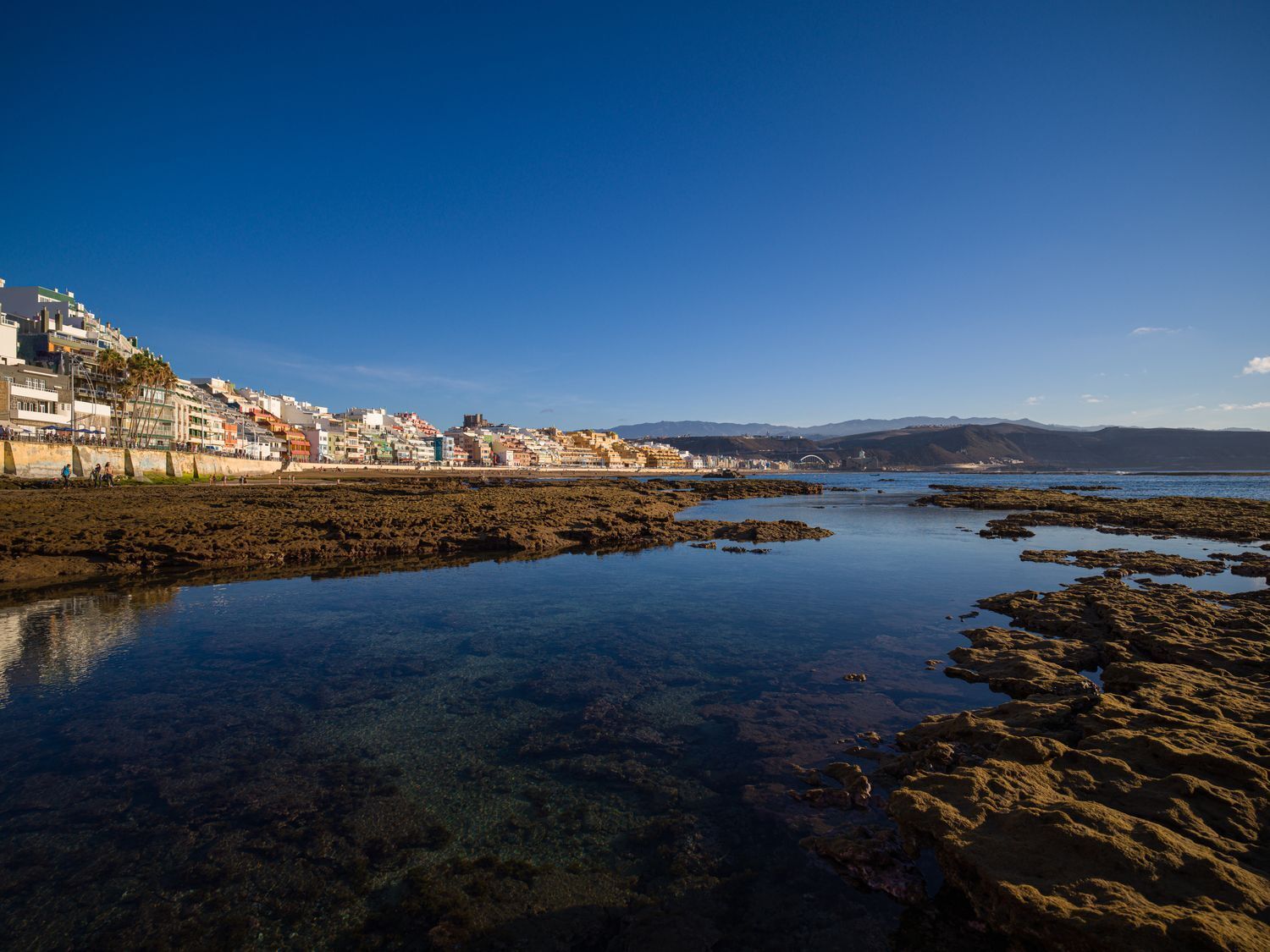 Negocios-Alquiler-Las Palmas de Gran Canaria-1385737-Foto-4