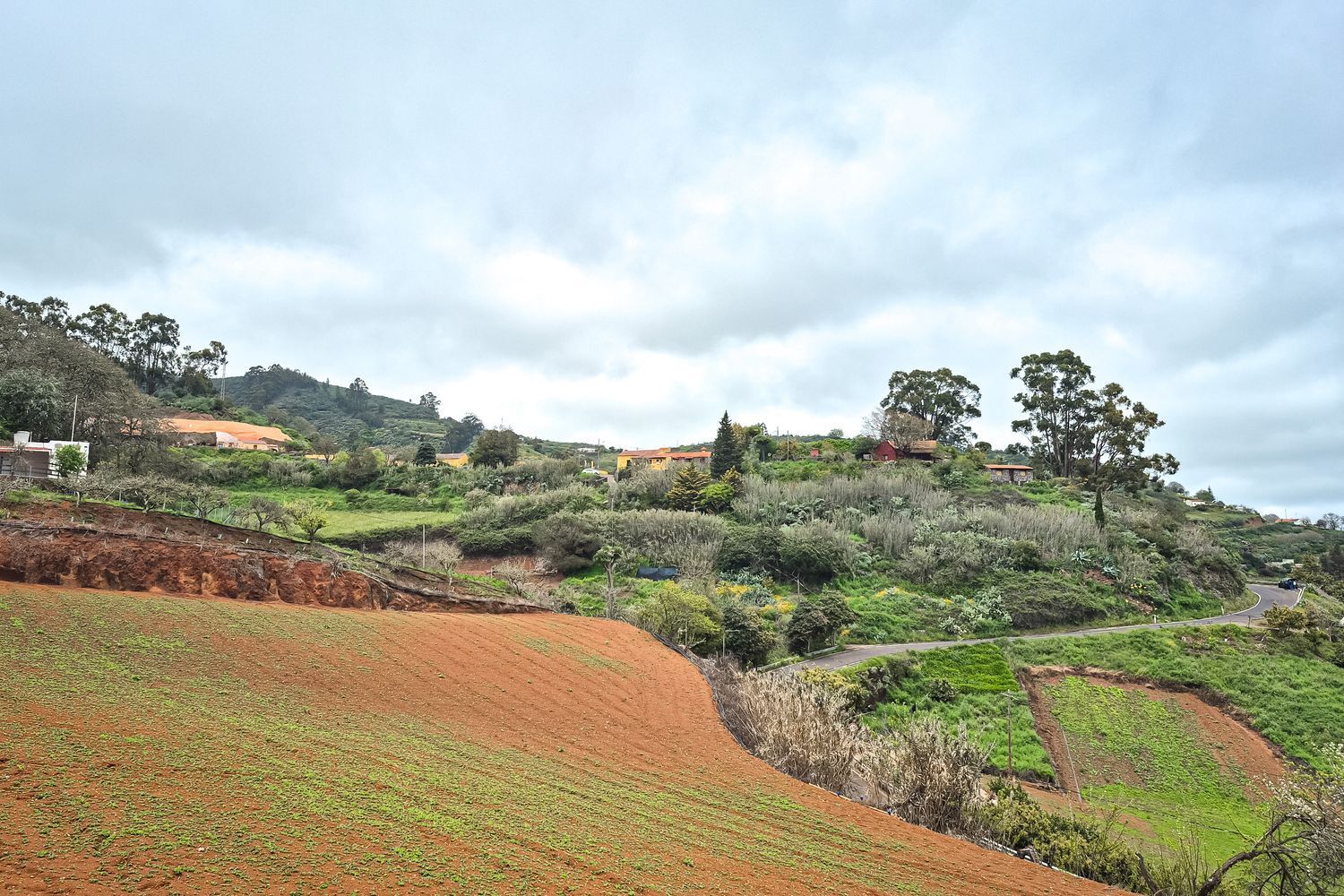 Casas o chalets-Venta-Moya-1762742-Foto-3