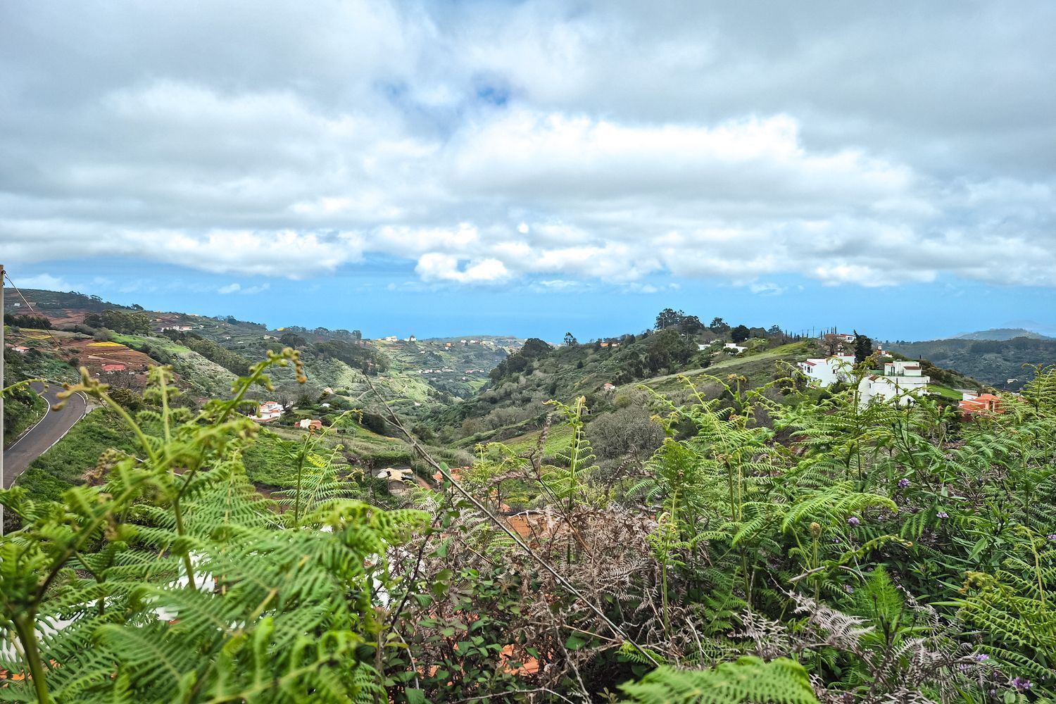 Casas o chalets-Venta-Moya-1762742-Foto-2