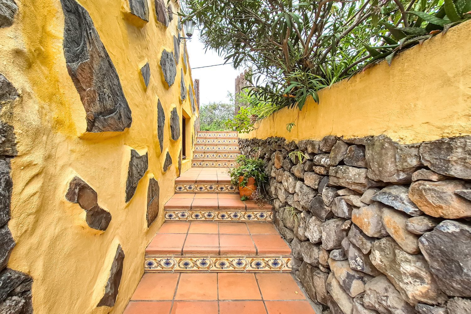 Casas o chalets-Venta-Moya-1762742-Foto-34