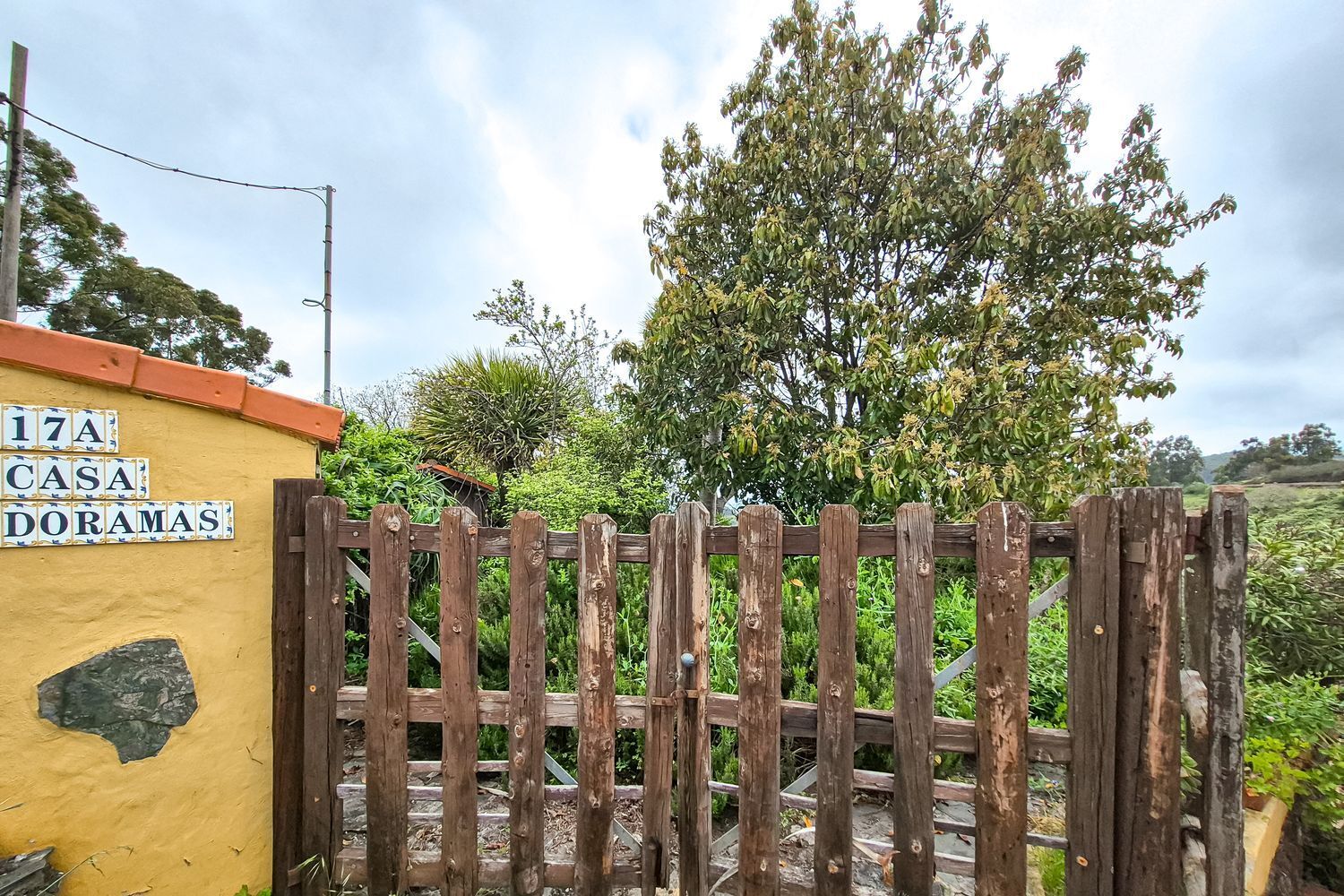 Casas o chalets-Venta-Moya-1762742-Foto-39