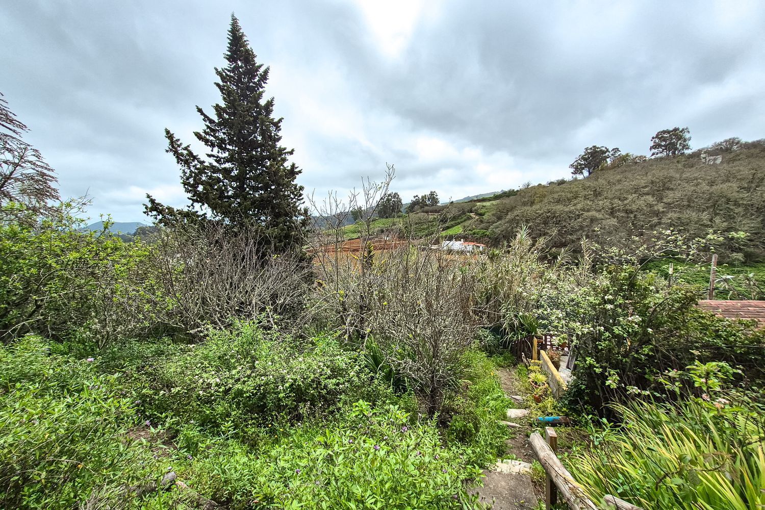 Casas o chalets-Venta-Moya-1762742-Foto-35