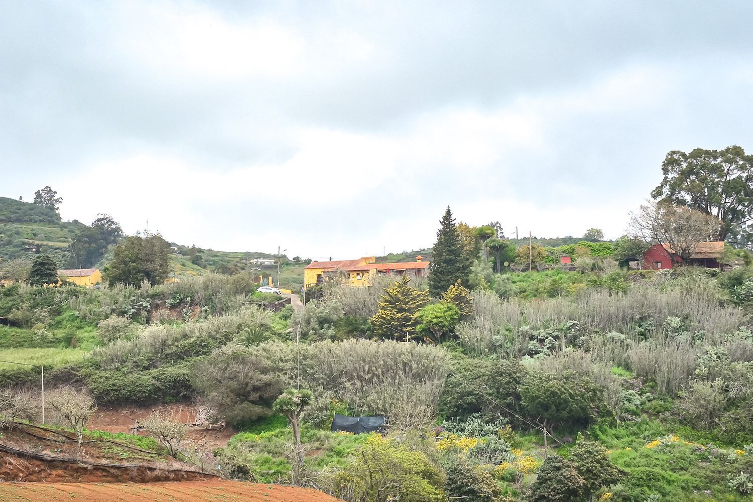 Casas o chalets-Venta-Moya-1762742-Foto-46