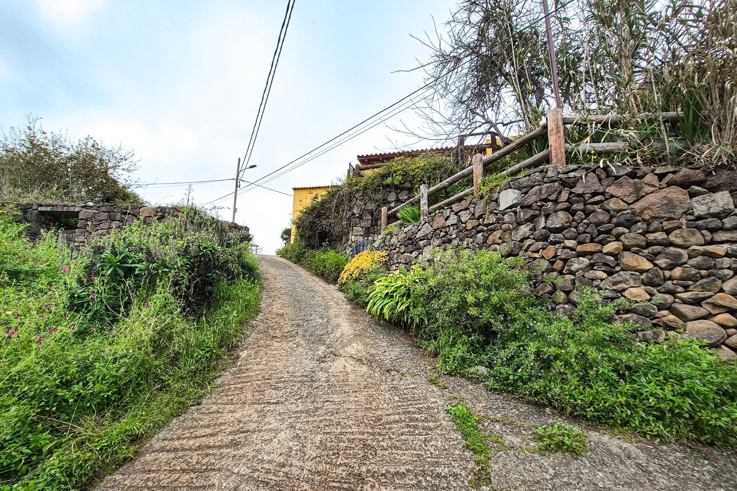 Casas o chalets-Venta-Moya-1762742-Foto-43