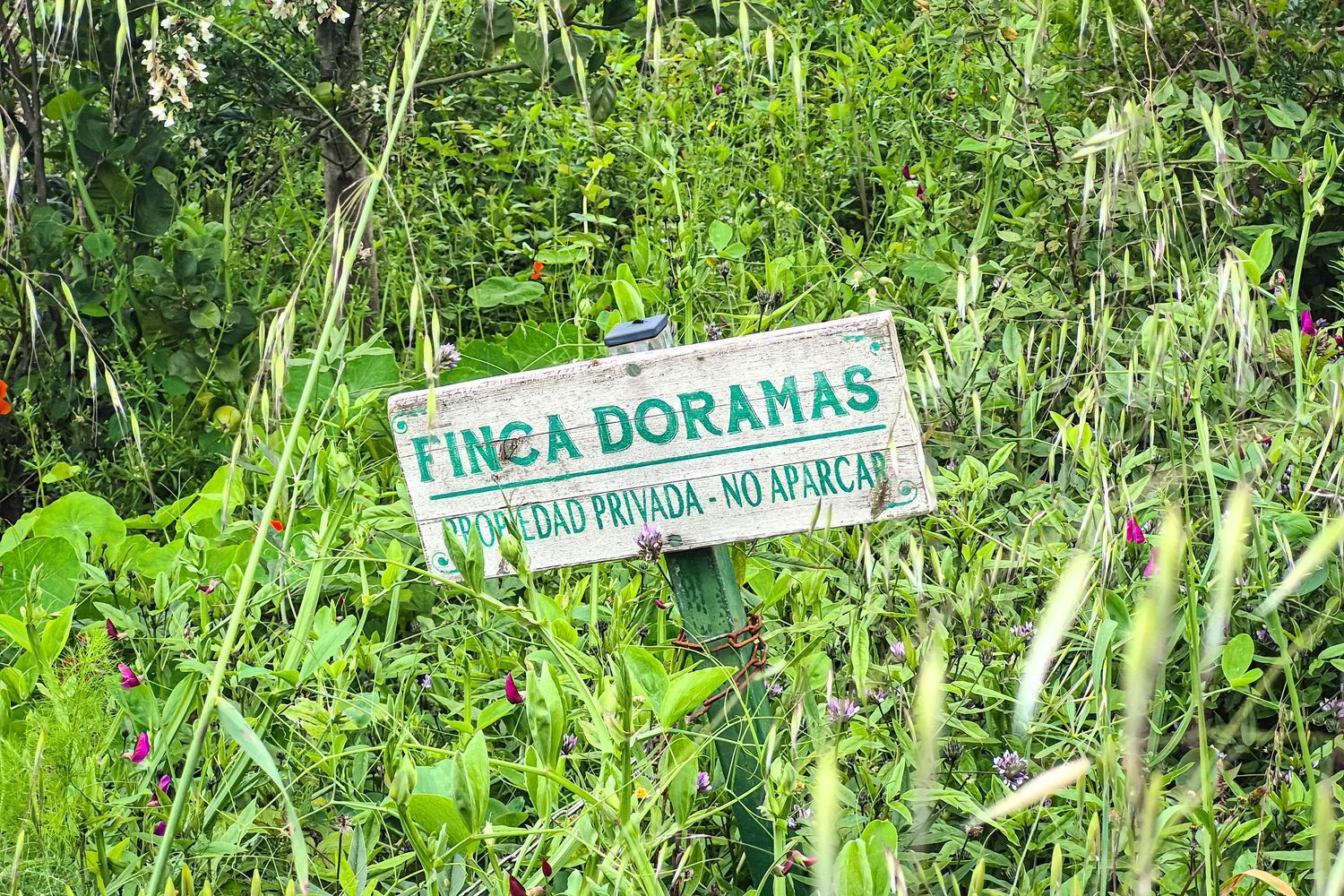 Casas o chalets-Venta-Moya-1762742-Foto-45