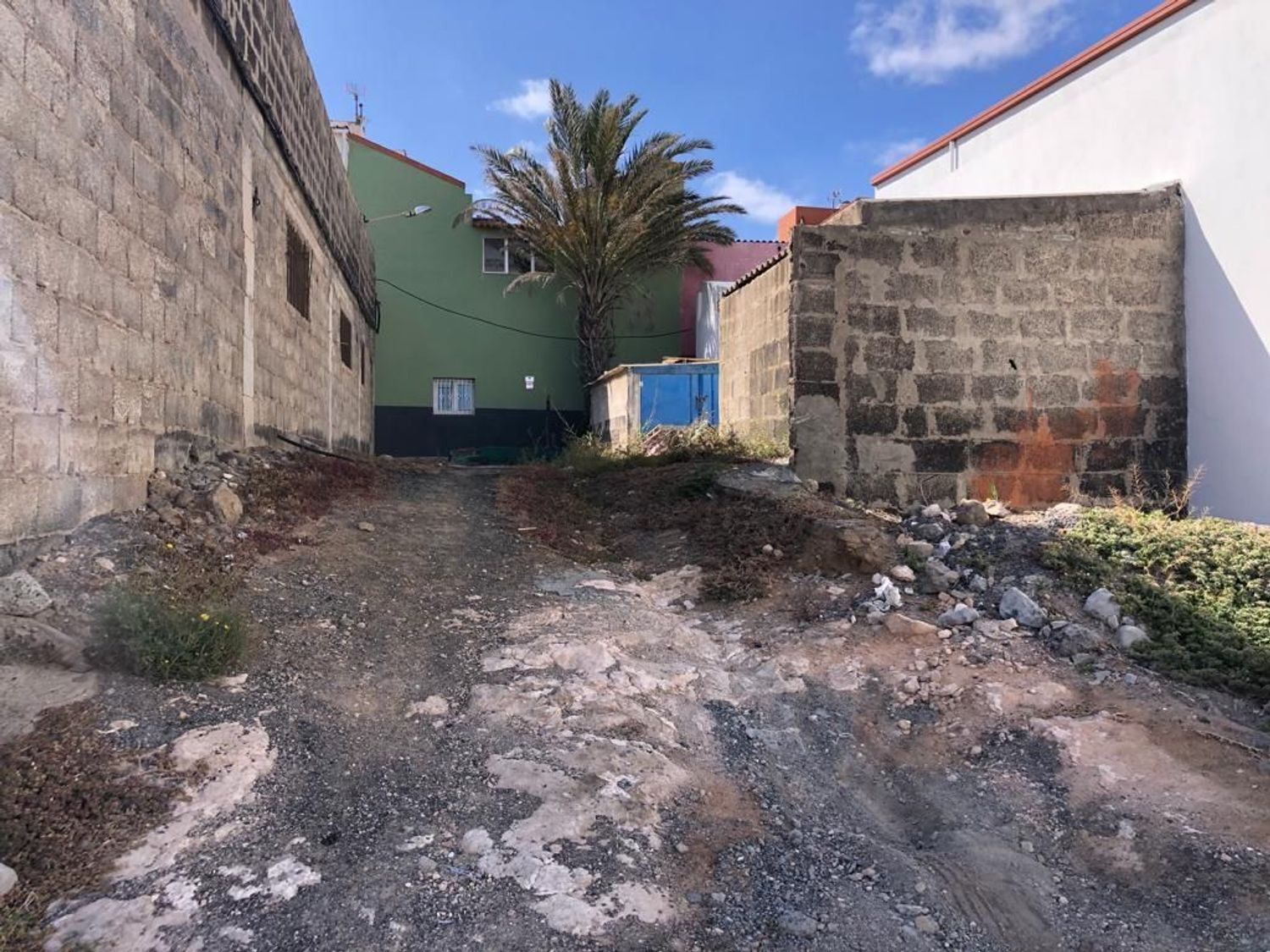 Fincas y solares-Venta-Telde-823500-Foto-4