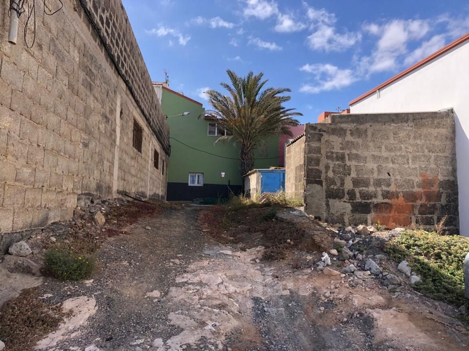 Fincas y solares-Venta-Telde-823500-Foto-6