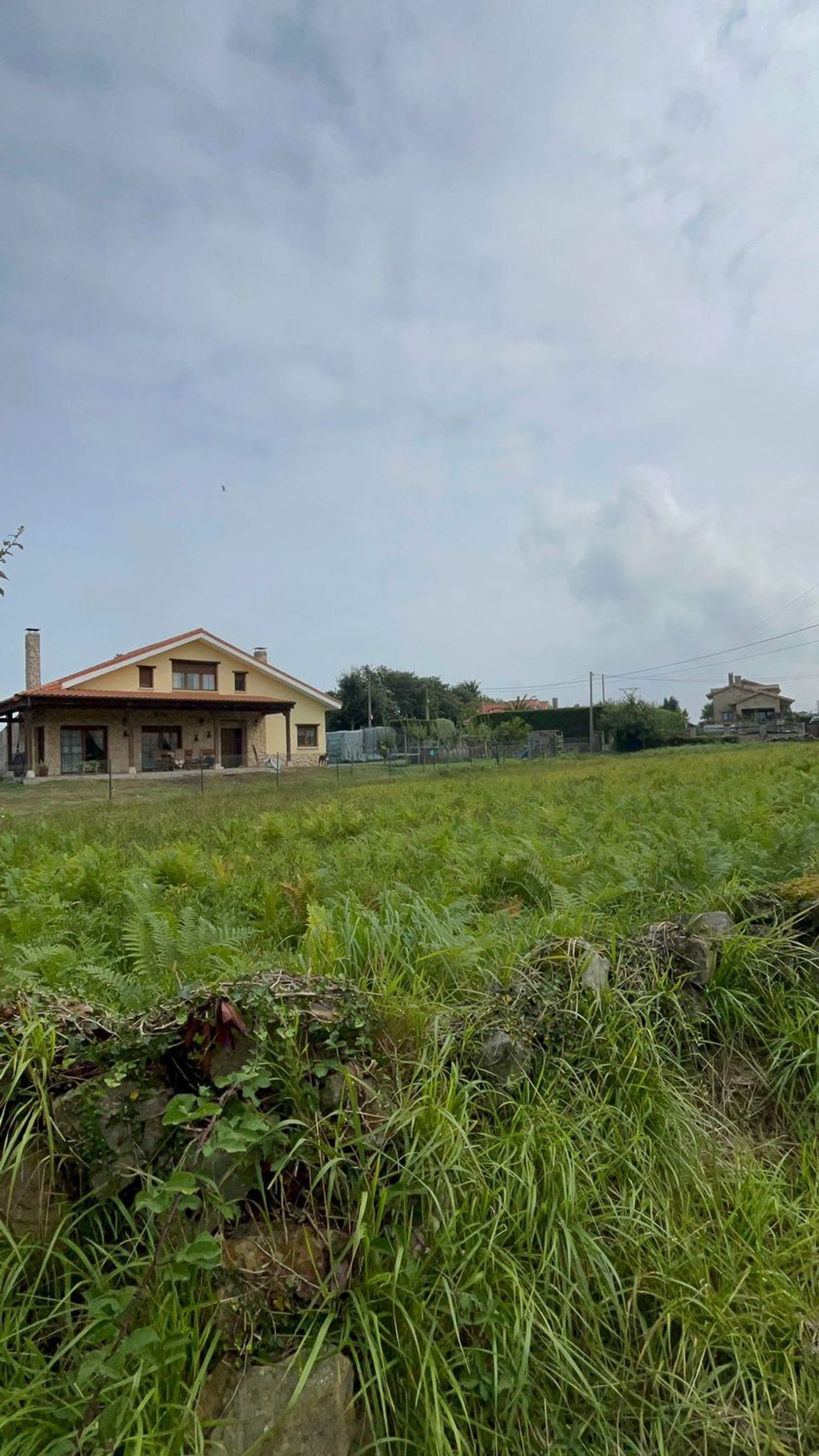 Fincas y solares-Venta-Villaviciosa-1834810-Foto-4