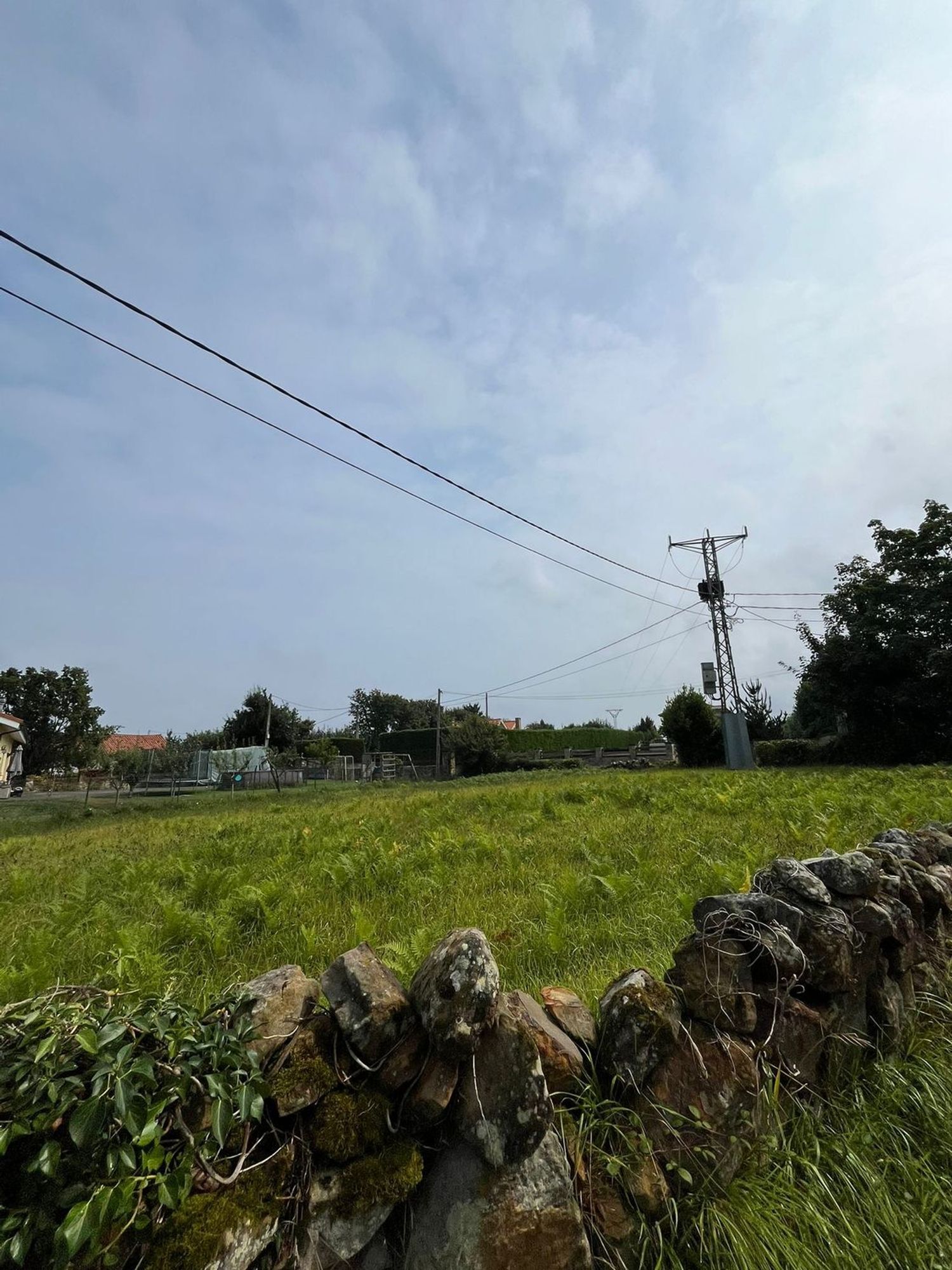 Fincas y solares-Venta-Villaviciosa-1834810-Foto-3