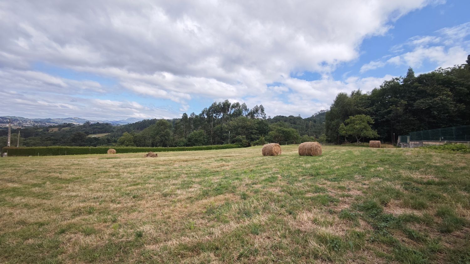 Fincas y solares-Venta-Siero-1834043-Foto-10
