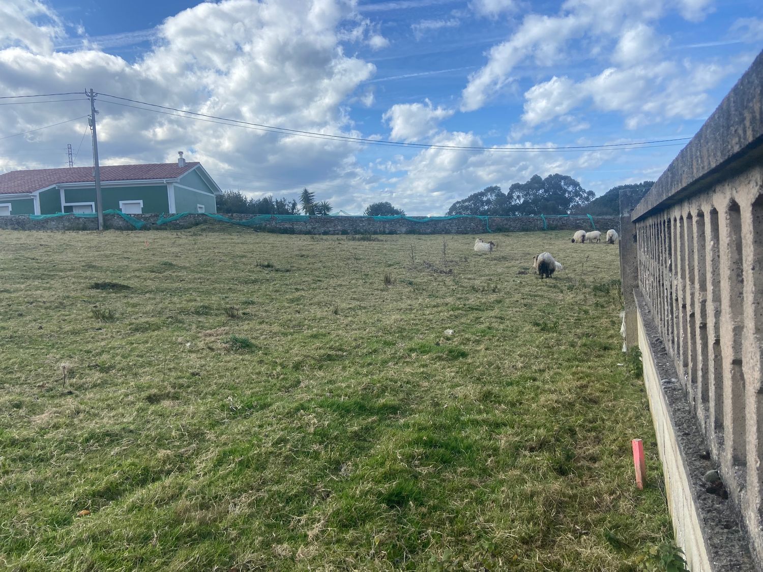 Fincas y solares-Venta-Muros de Nalón-684905