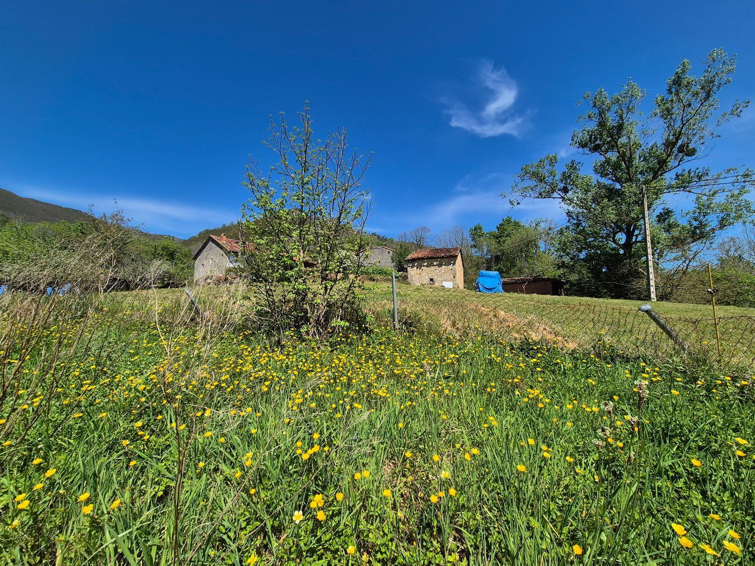 Fincas y solares-Venta-Cangas de OnÃ­s-1745085-Foto-5