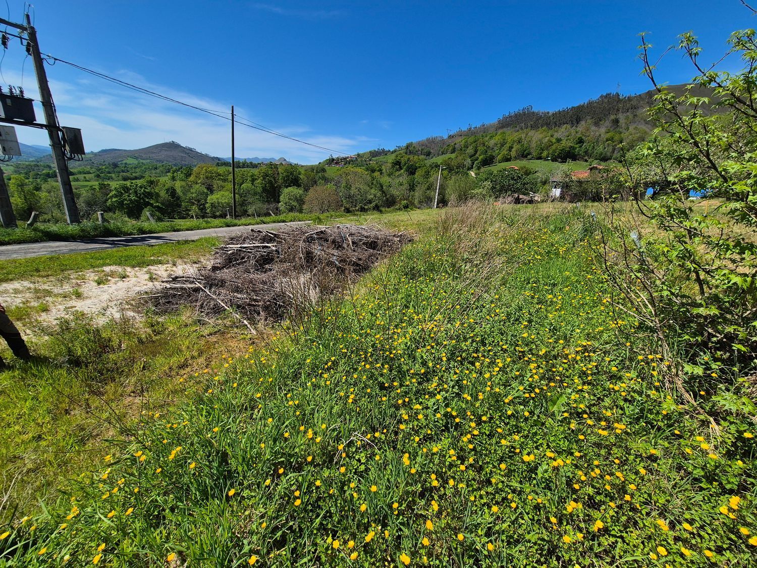 Fincas y solares-Venta-Cangas de OnÃ­s-1745085-Foto-8